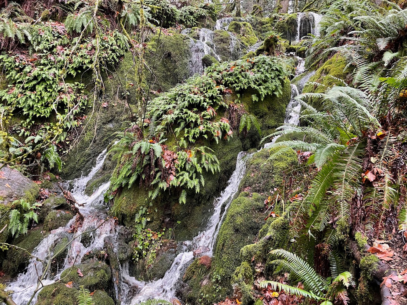 Far Country Falls