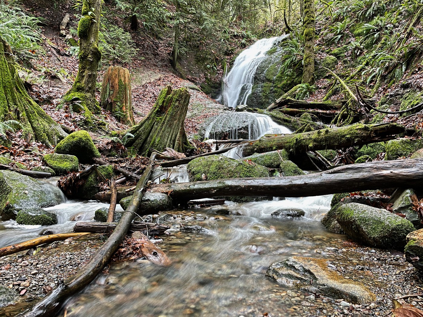 Coal Creek Falls