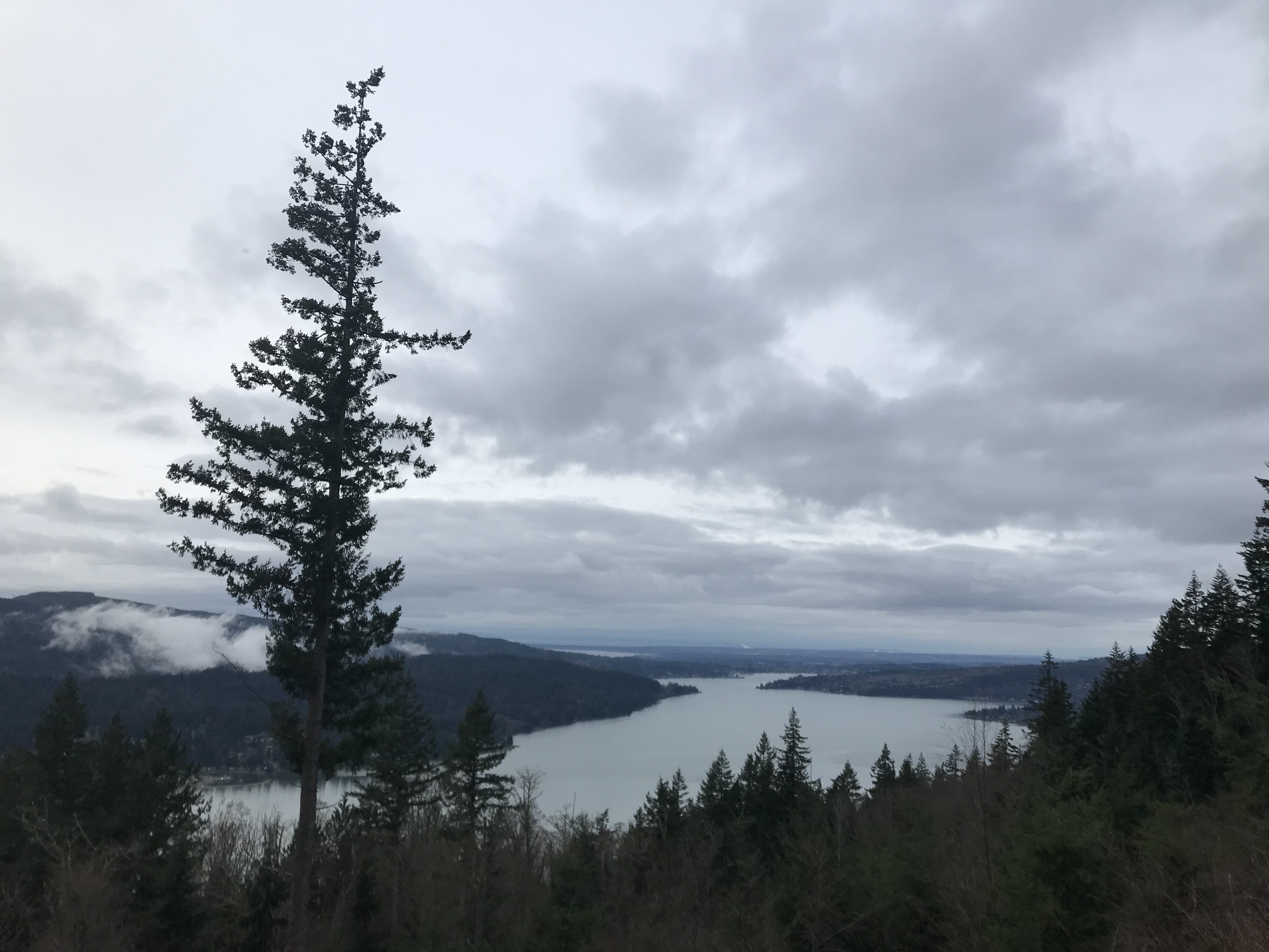 Lake Park Chanterelle Trail — Washington Trails Association
