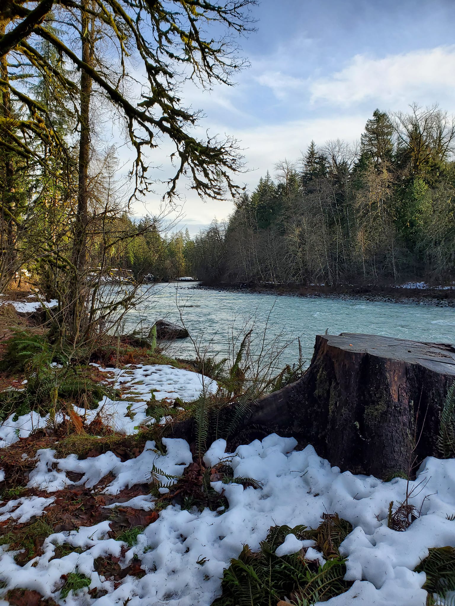 Verlot Nature Trail — Washington Trails Association