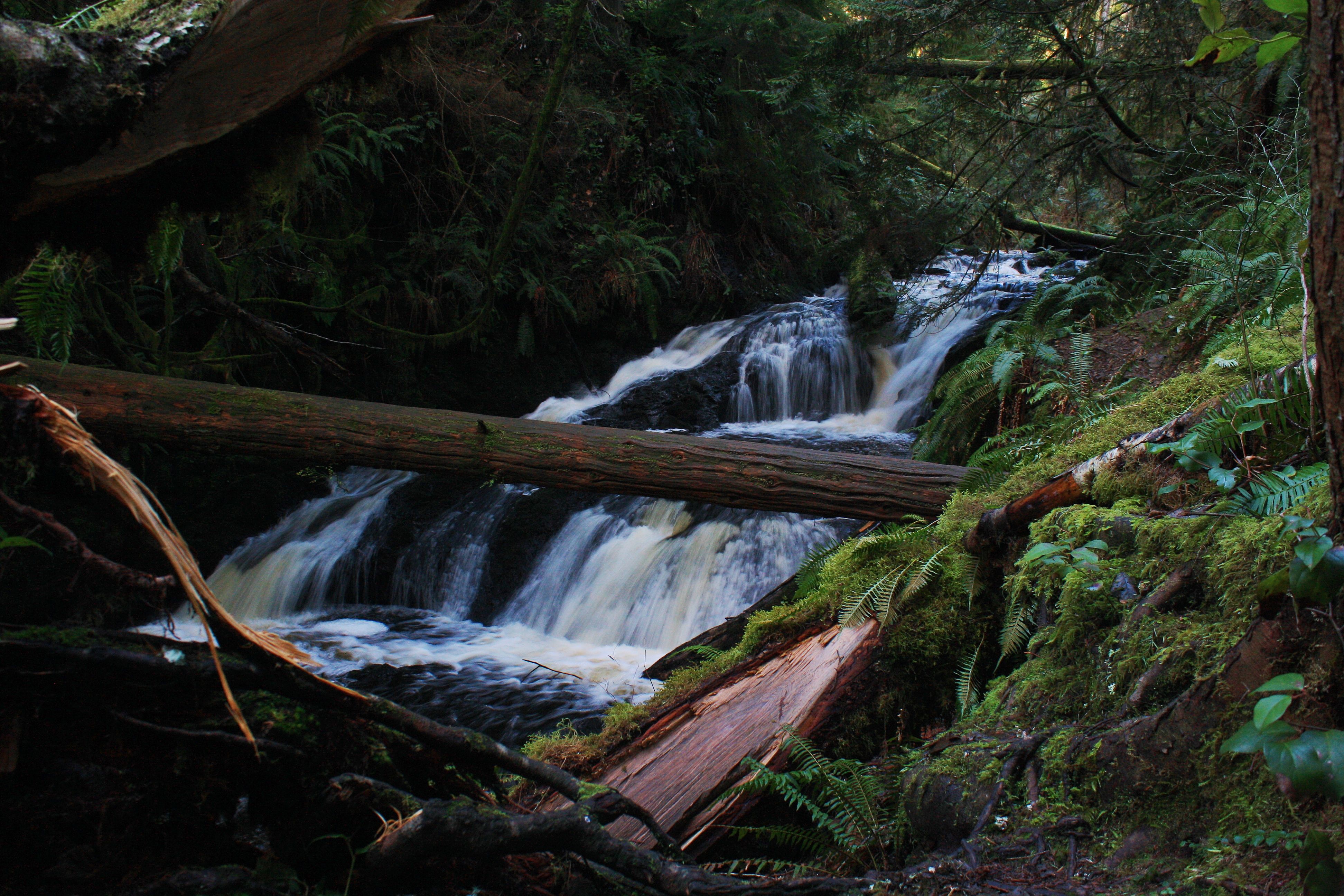 Ludlow Falls Interpretive Trail — Washington Trails Association