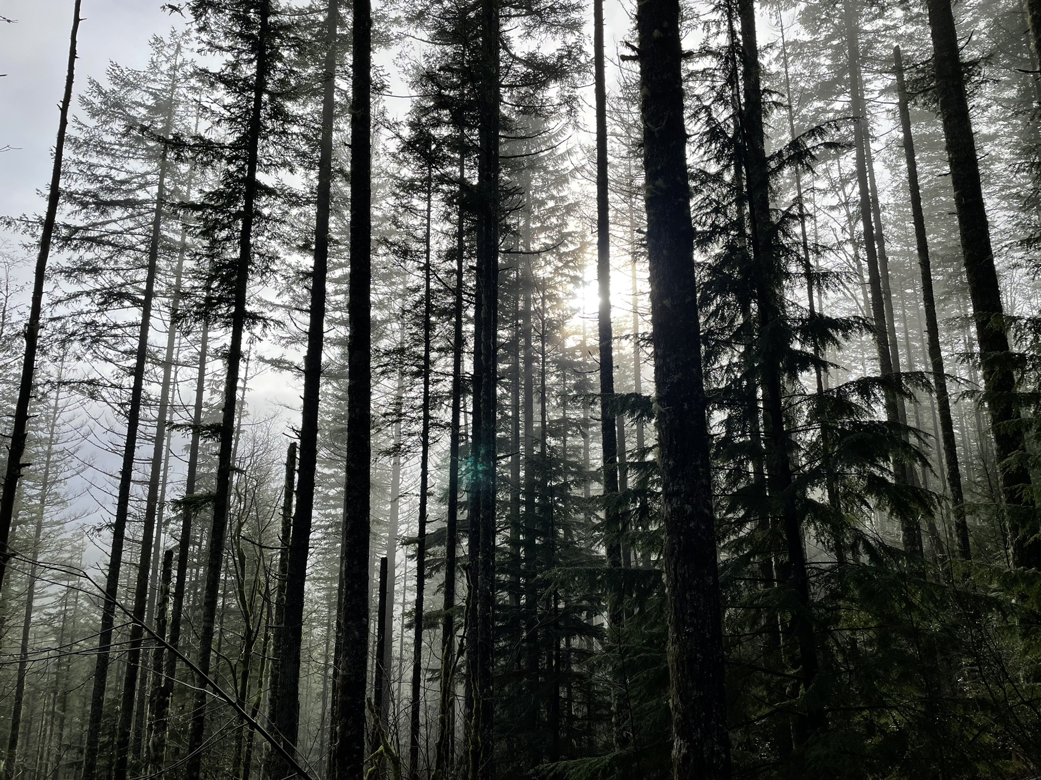 Rattlesnake Ledge — Washington Trails Association