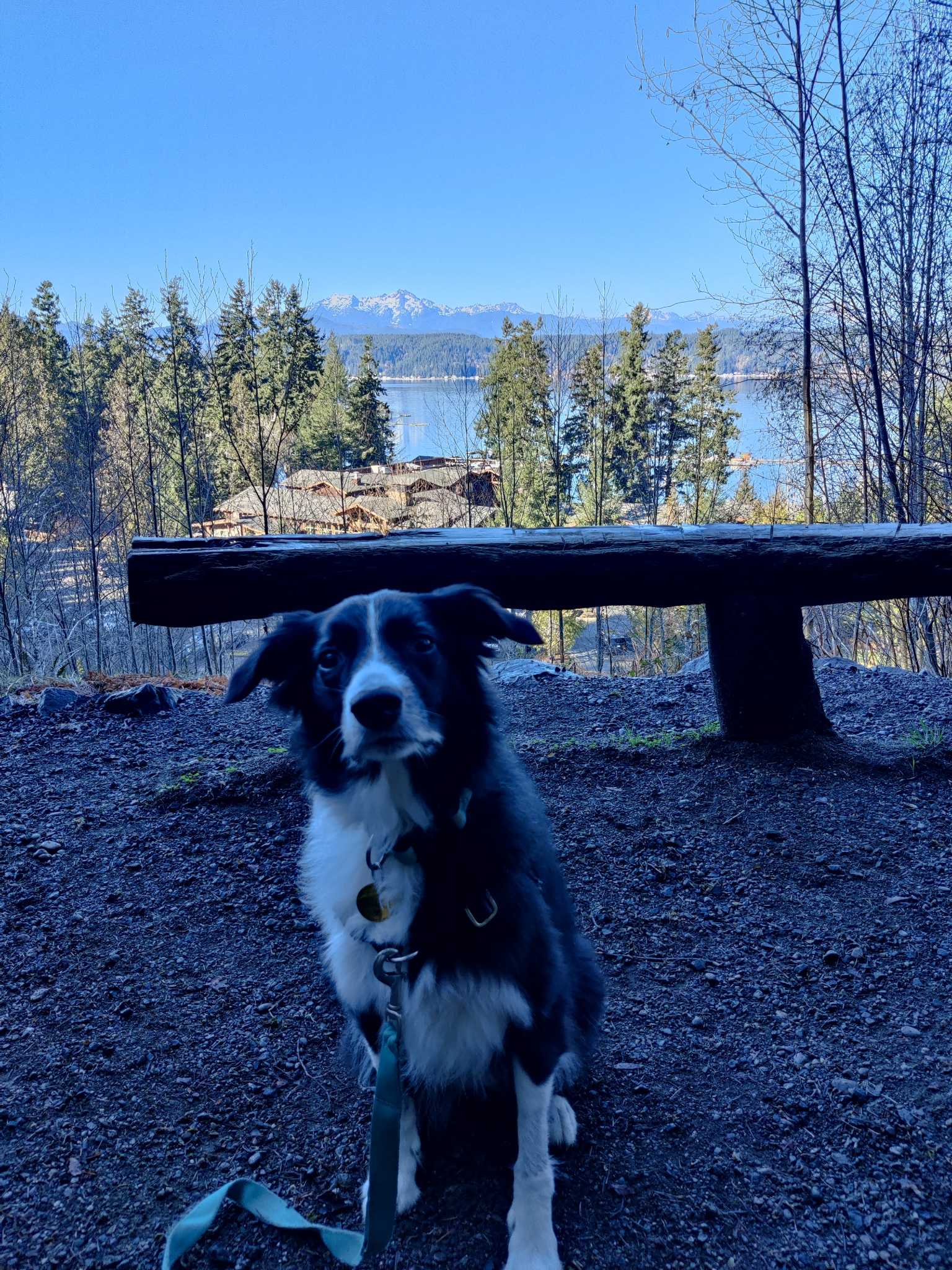 Alderbrook Nature Trails — Washington Trails Association