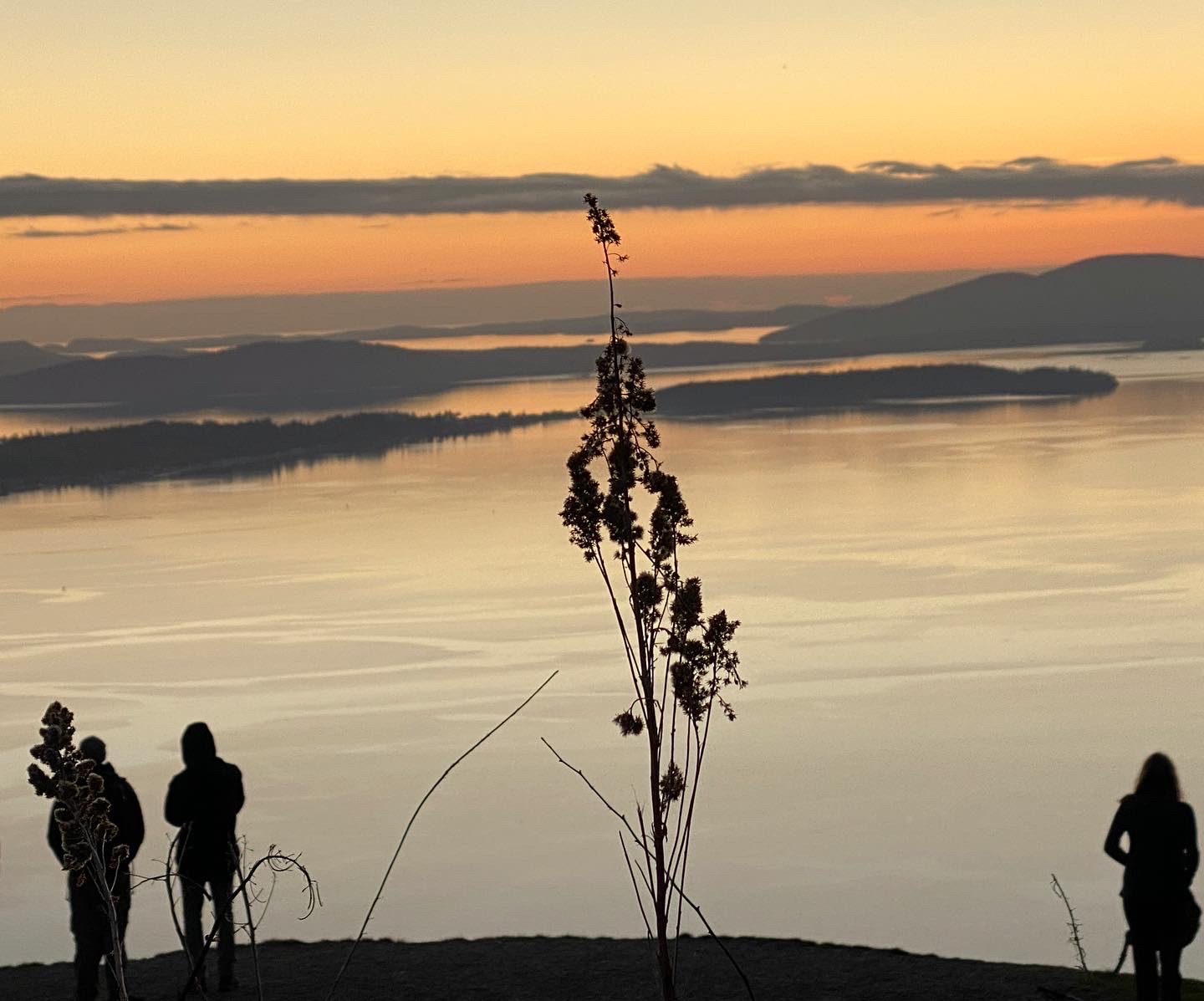 Oyster Dome — Washington Trails Association