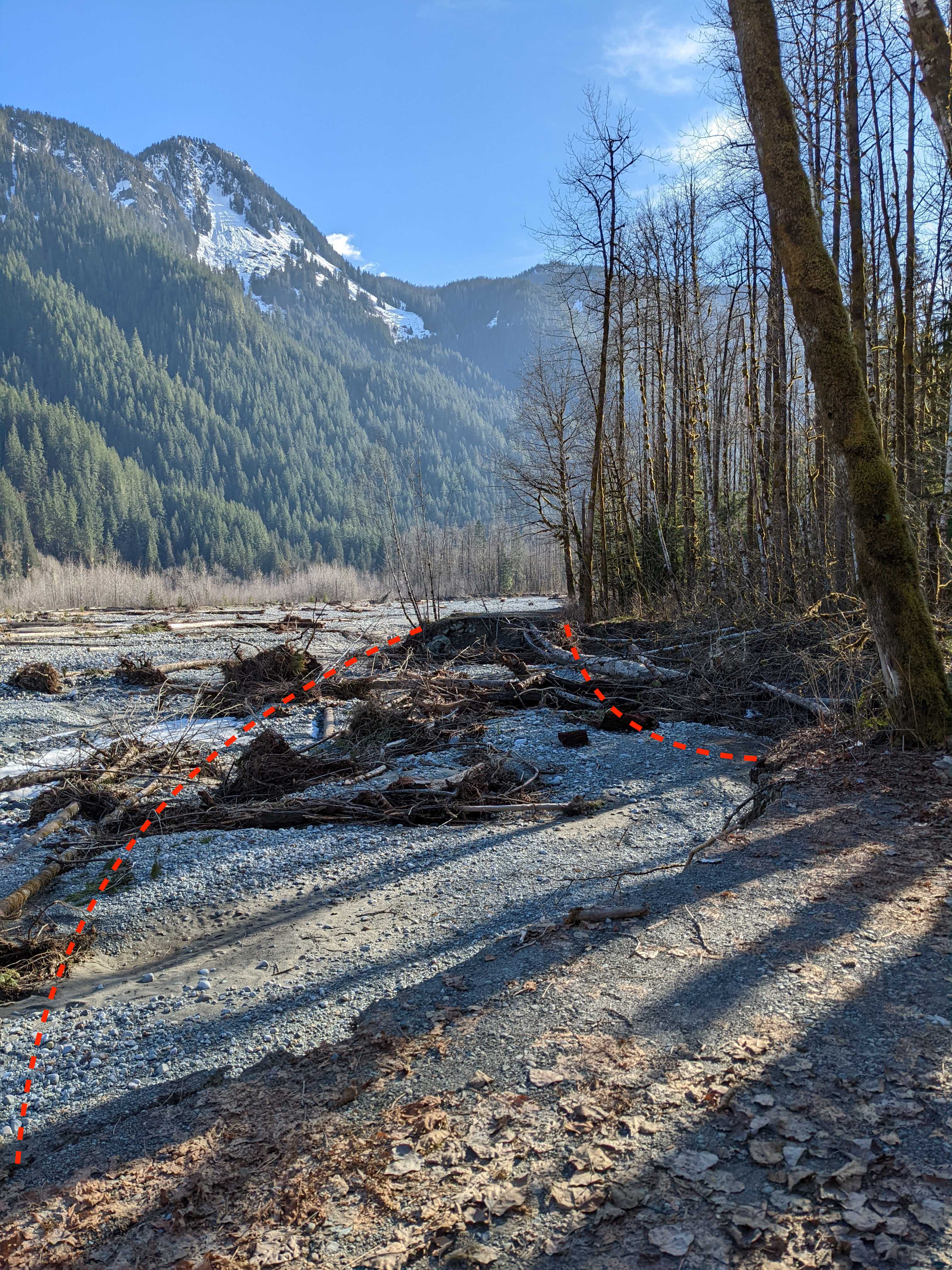 East Bank Baker Lake, Baker River — Washington Trails Association