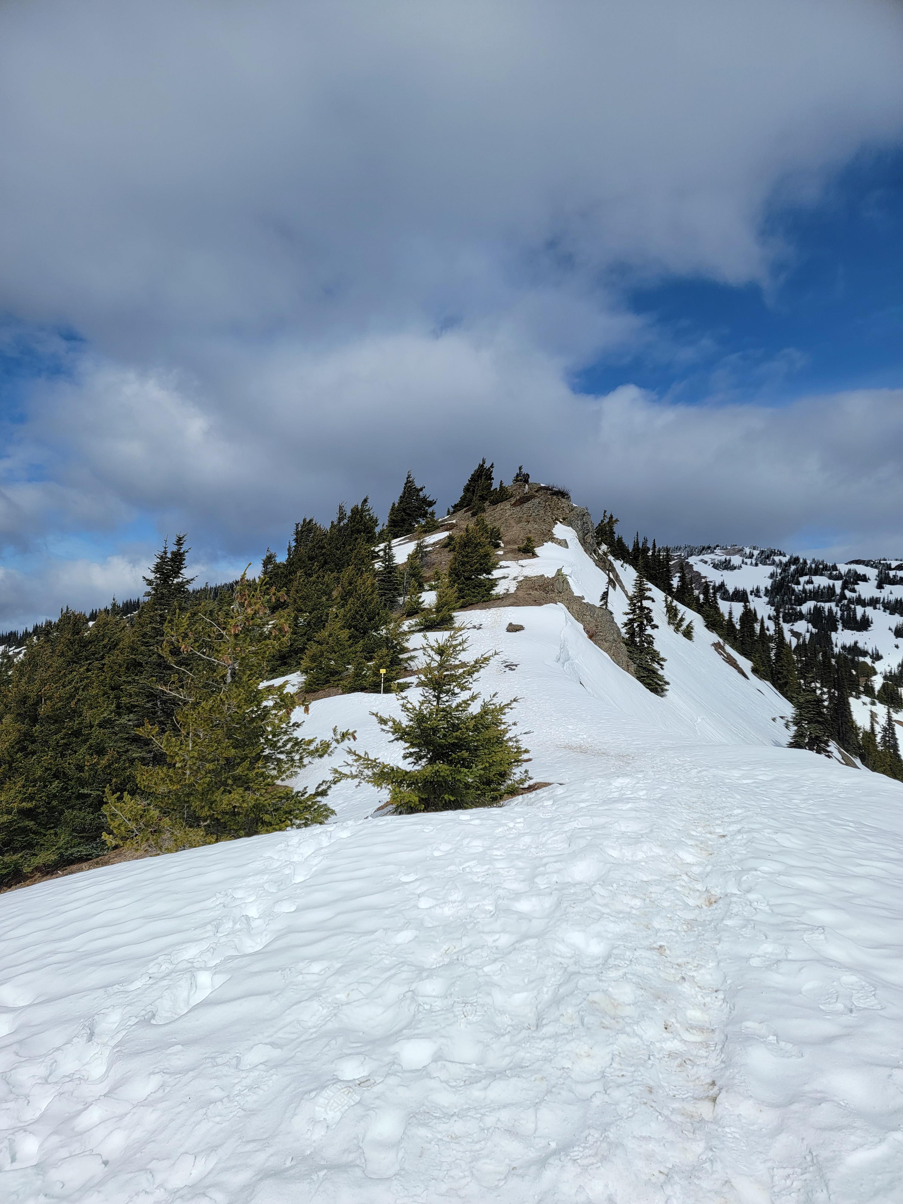 Hurricane Ridge Snowshoe — Washington Trails Association