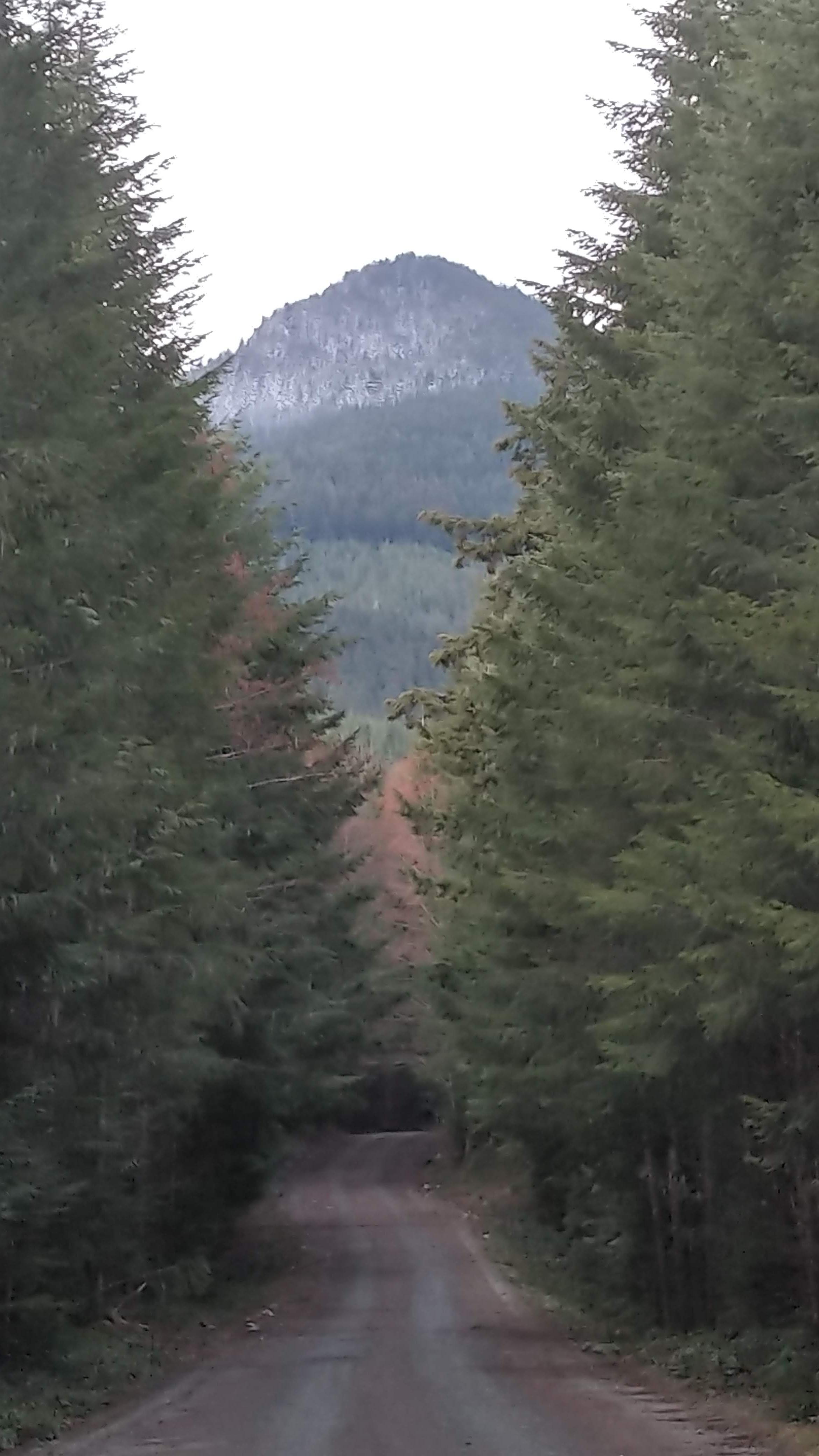 Sun Top Snowshoe — Washington Trails Association