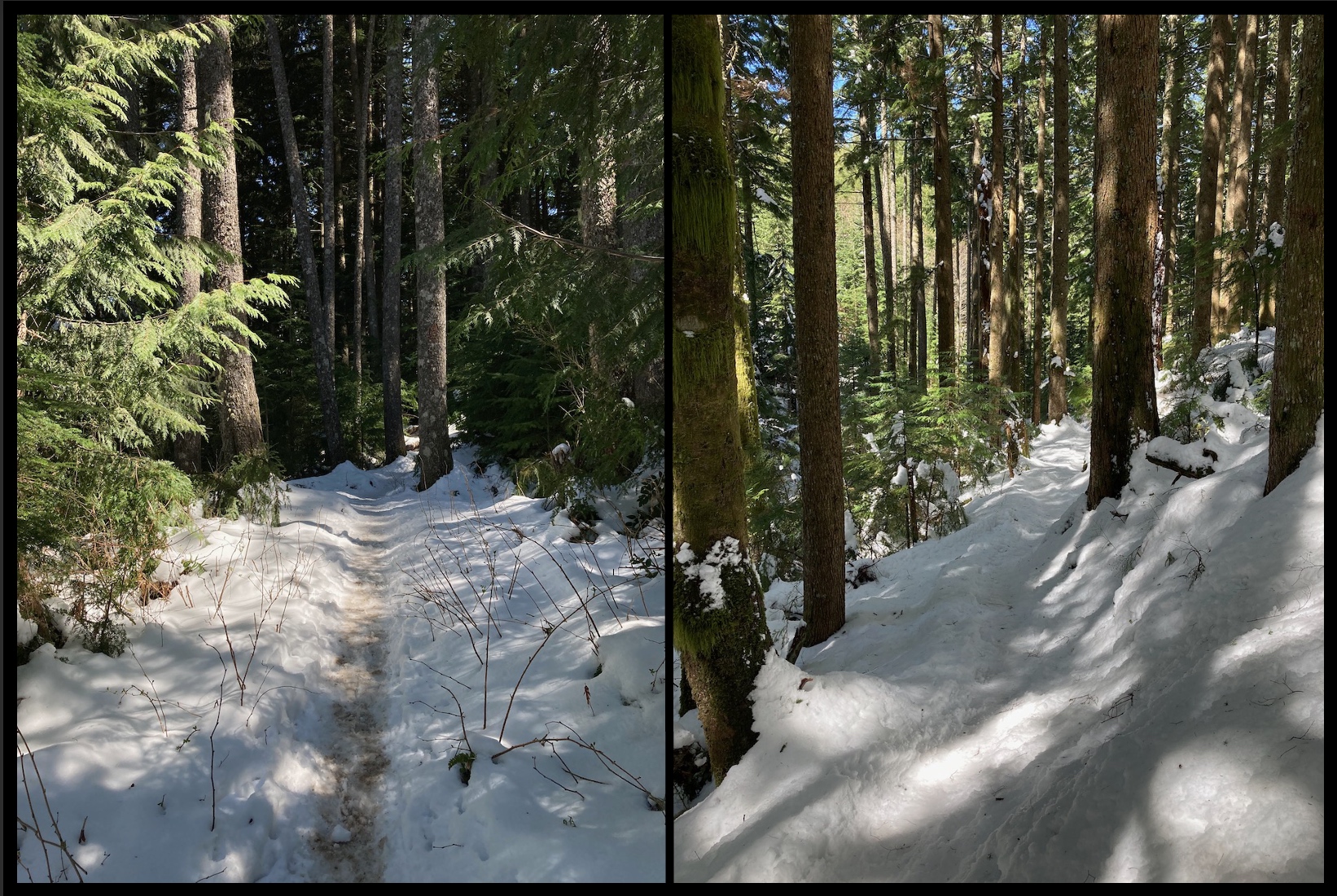 Rattlesnake Mountain Grand Prospect — Washington Trails Association