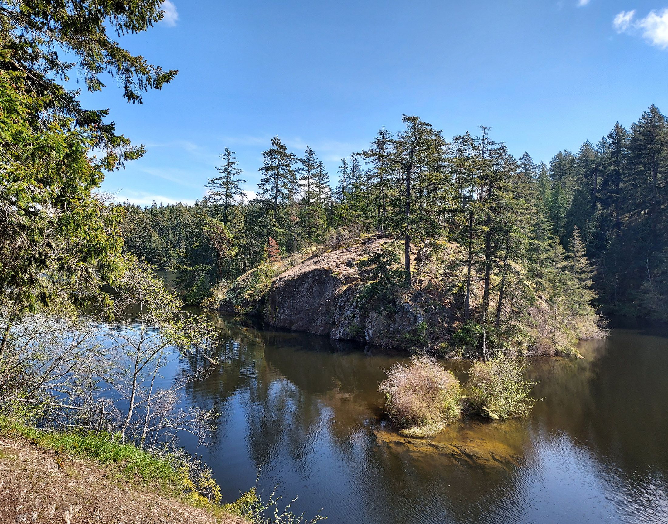 Anacortes Community Forest Lands Whistle Lake — Washington Trails