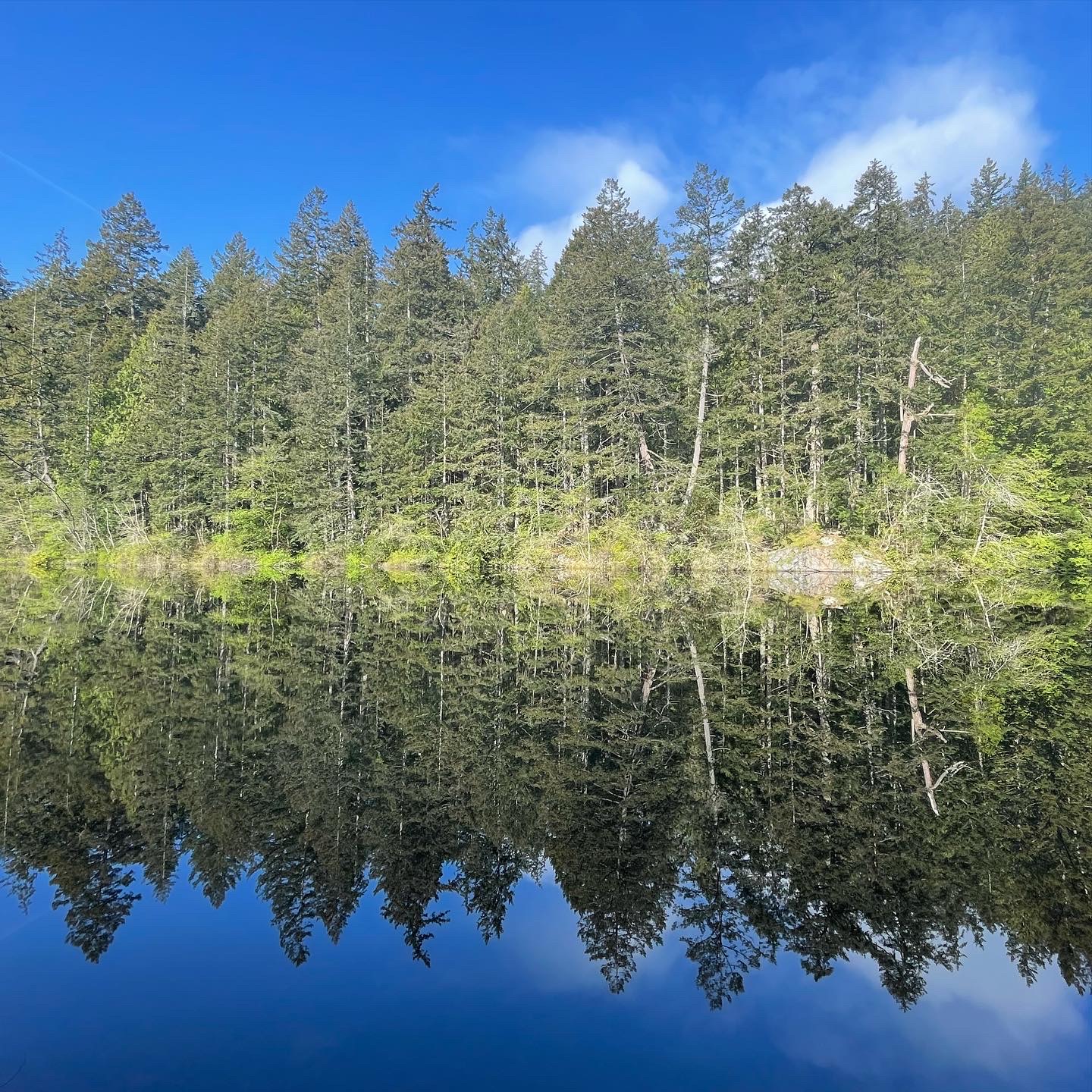 Anacortes Community Forest Lands Whistle Lake — Washington Trails
