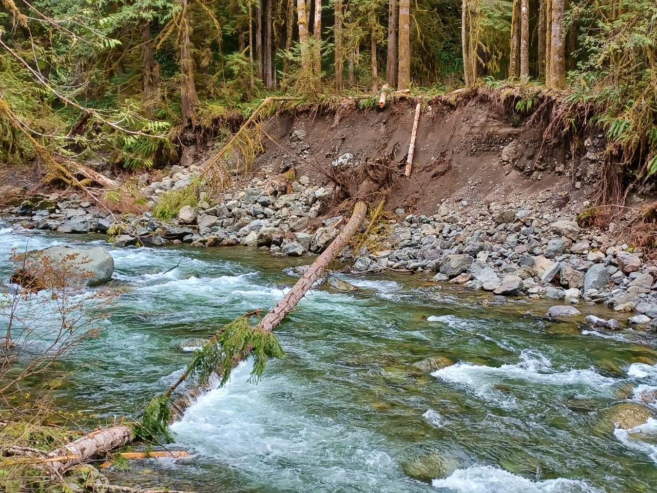 Horseshoe Bend — Washington Trails Association