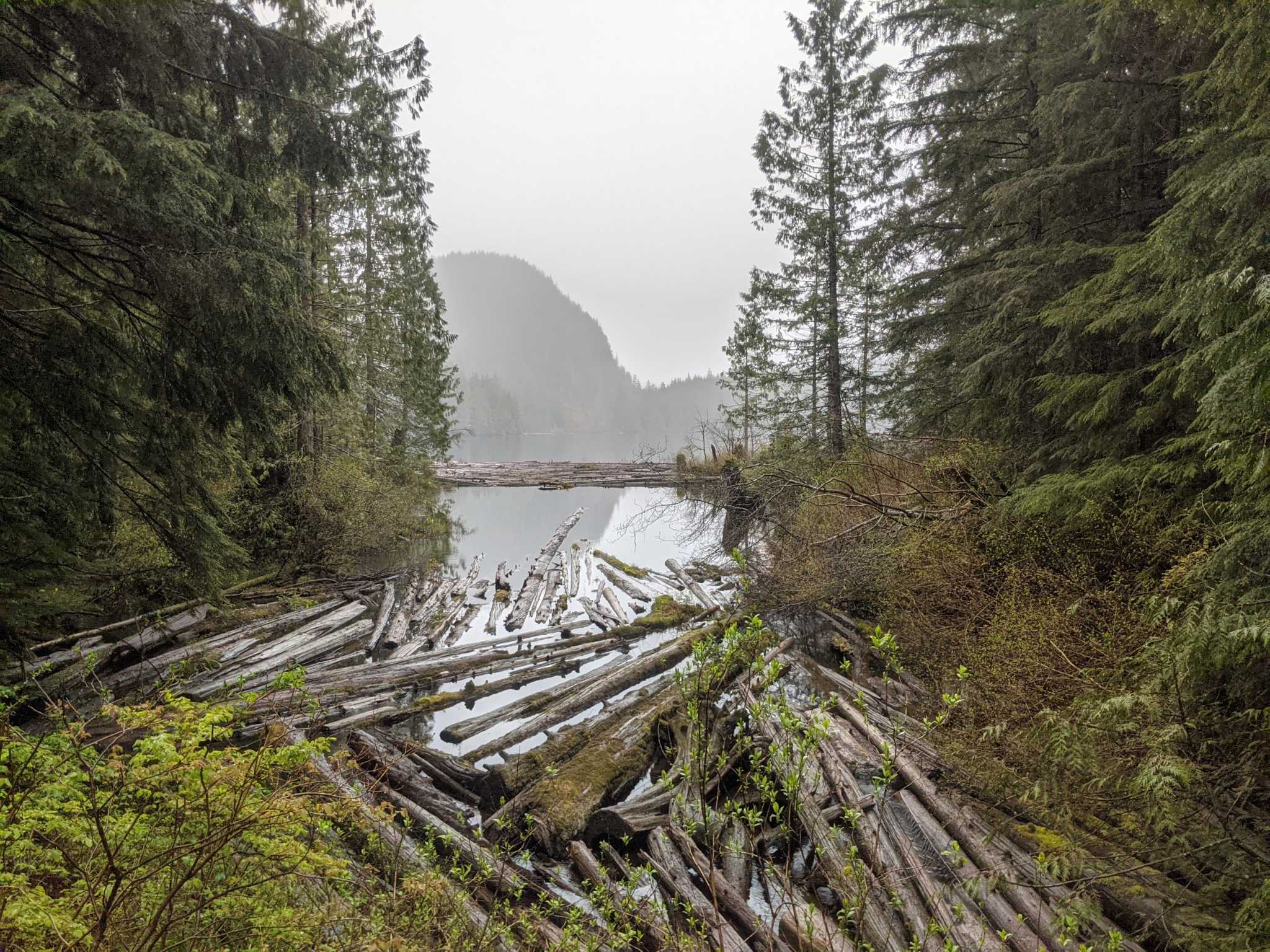 Wallace Falls State Park Greg - 1652588181569 