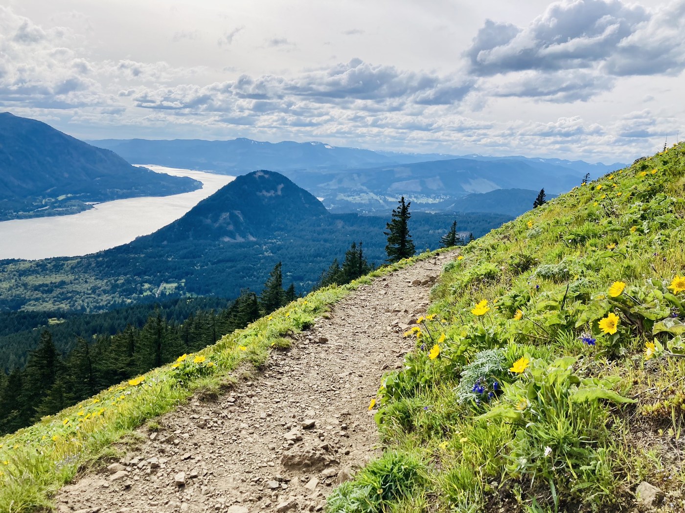 Dog Mountain by Rowenn