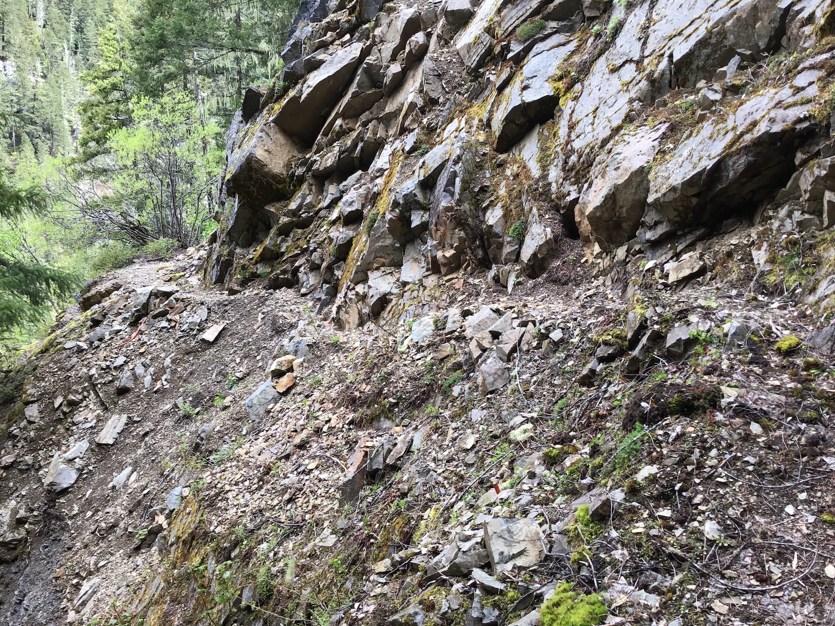 Chancellor, Canyon Creek — Washington Trails Association