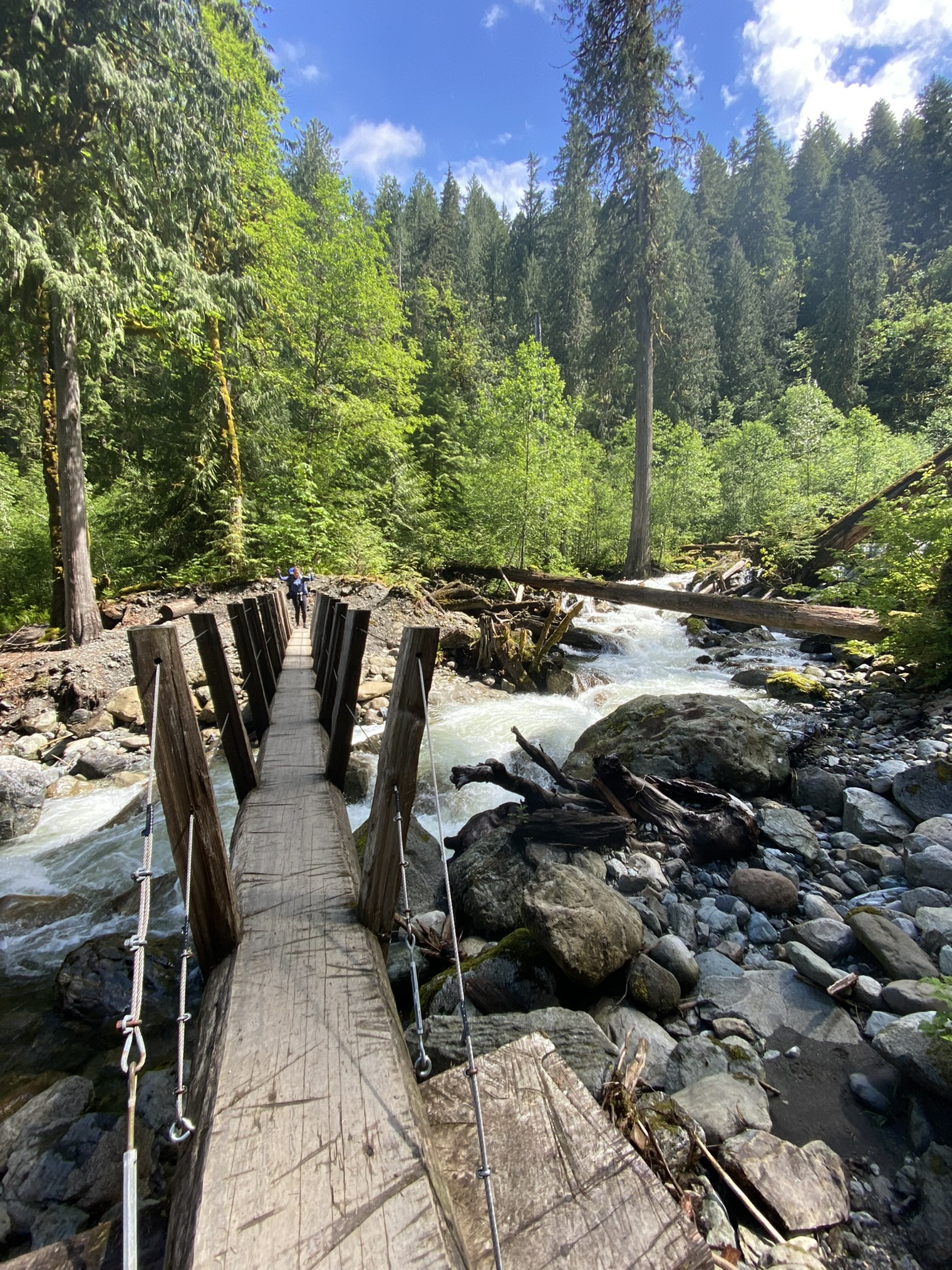 Baker Lake Maple Grove — Washington Trails Association