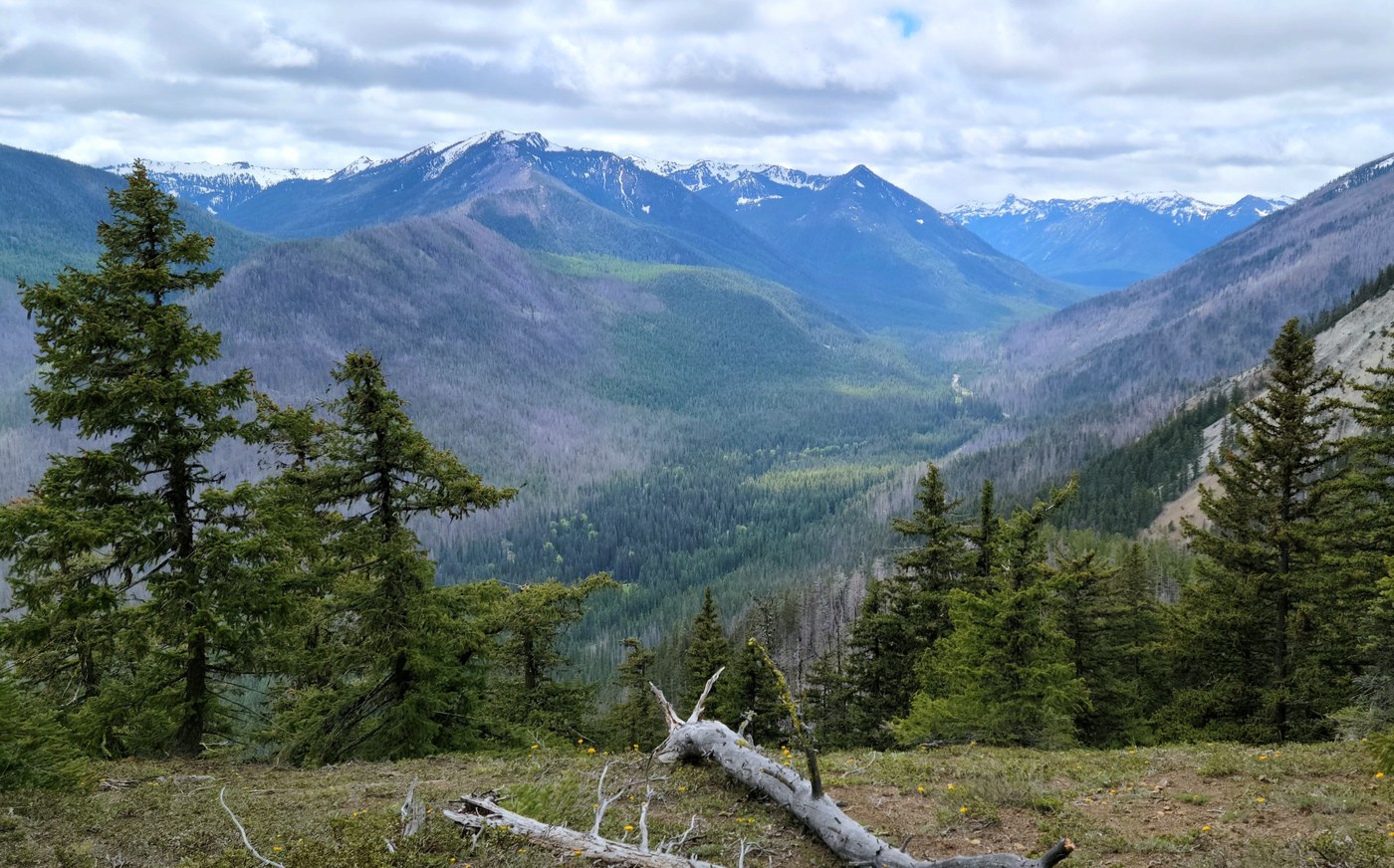 Crow Creek Way trail.