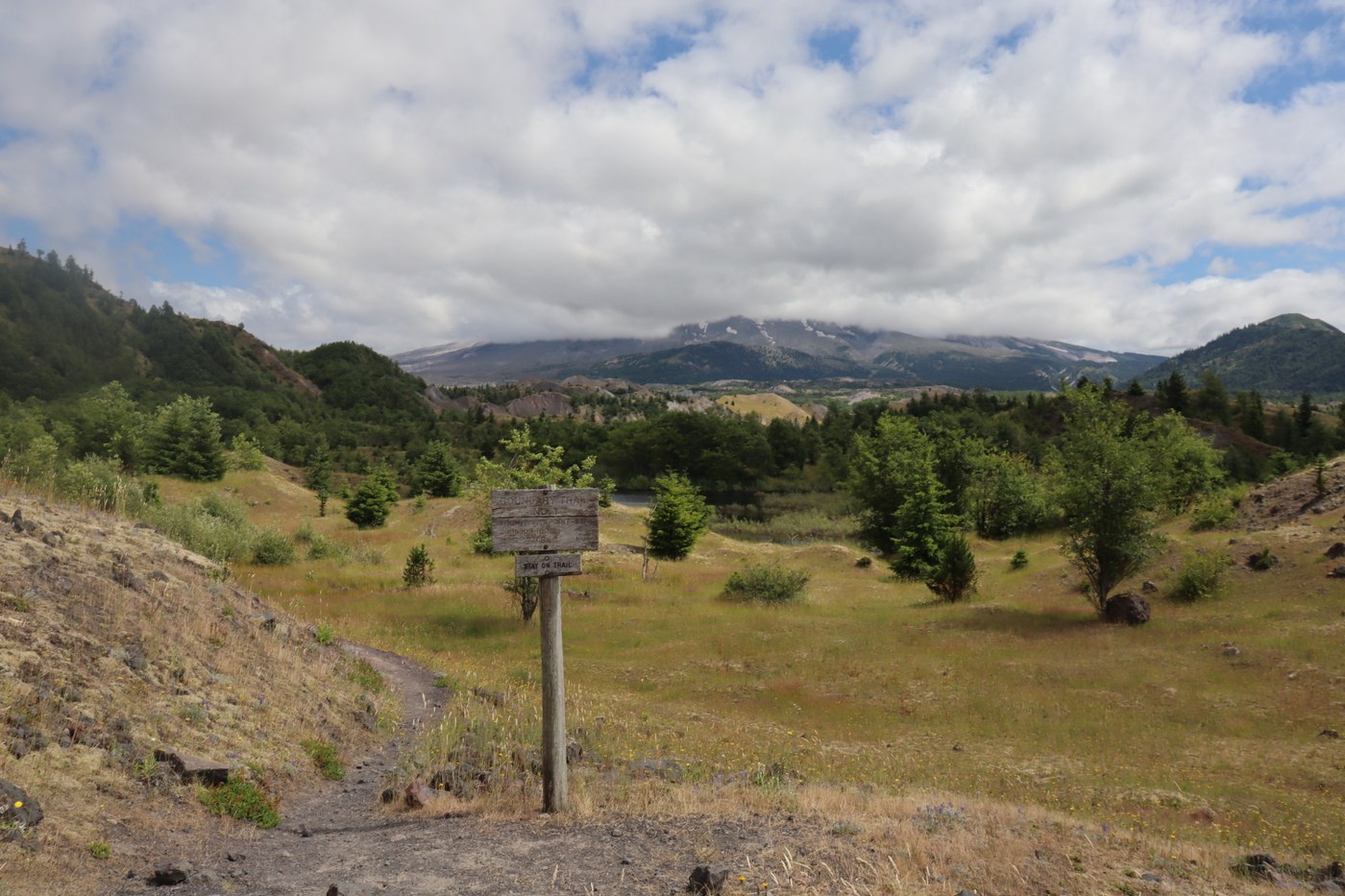 View of Mt. St. Helens; also roughly where we saw the butterfly.