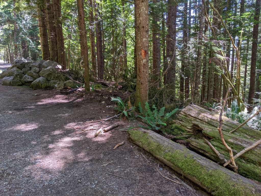 This is where the trail from Exit 32 intersects with the normal trailhead road. This is a few hundred yards from the regular parking lot.