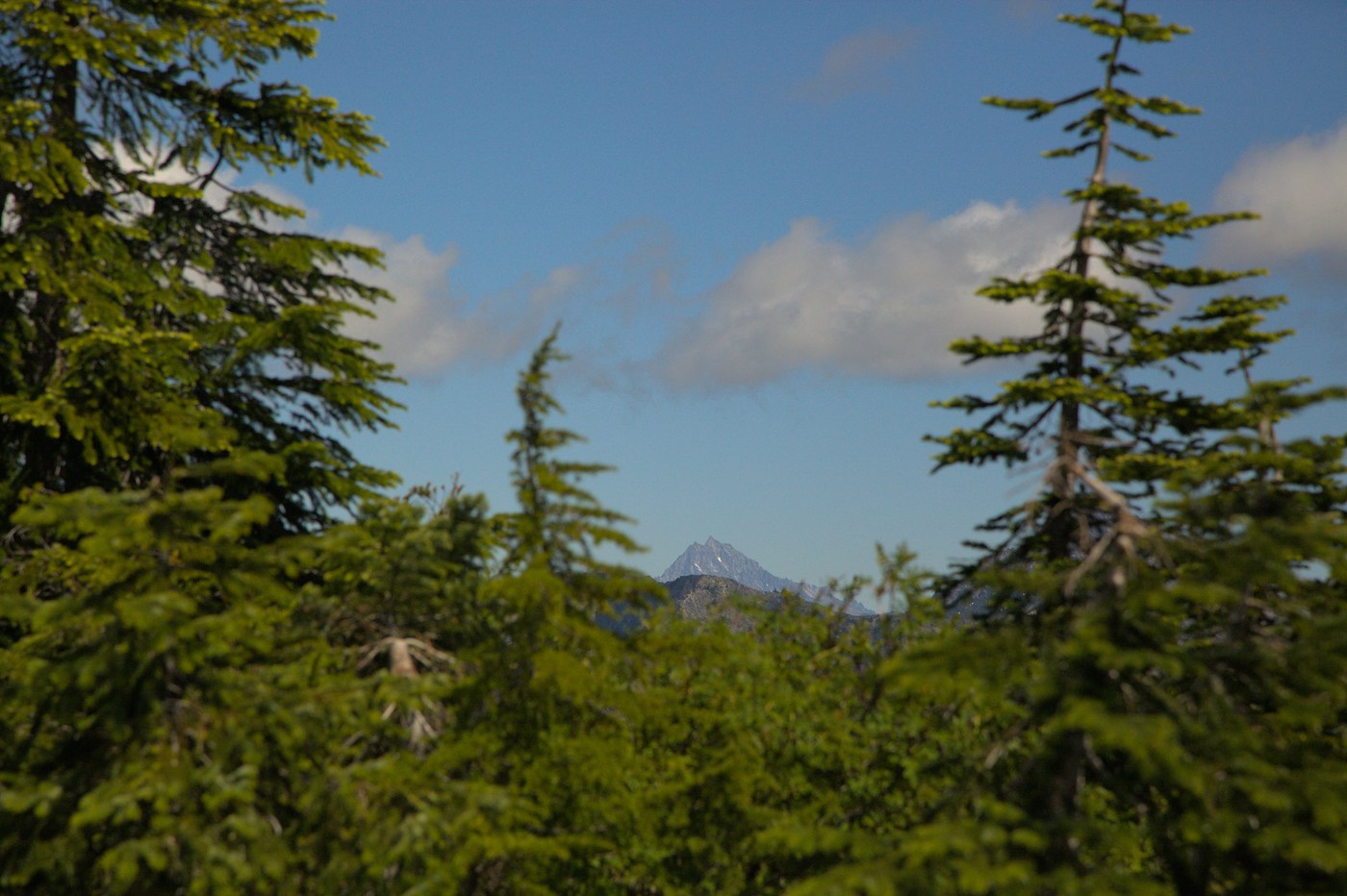 View of Mt Stuart from near Kendall Katwalk