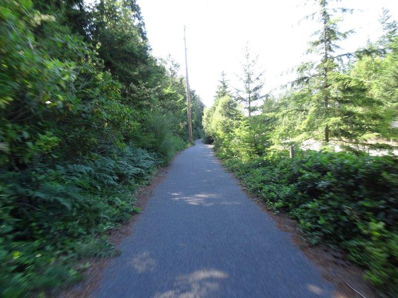 Kettles Trail System, Rhododendron Park — Washington Trails Association