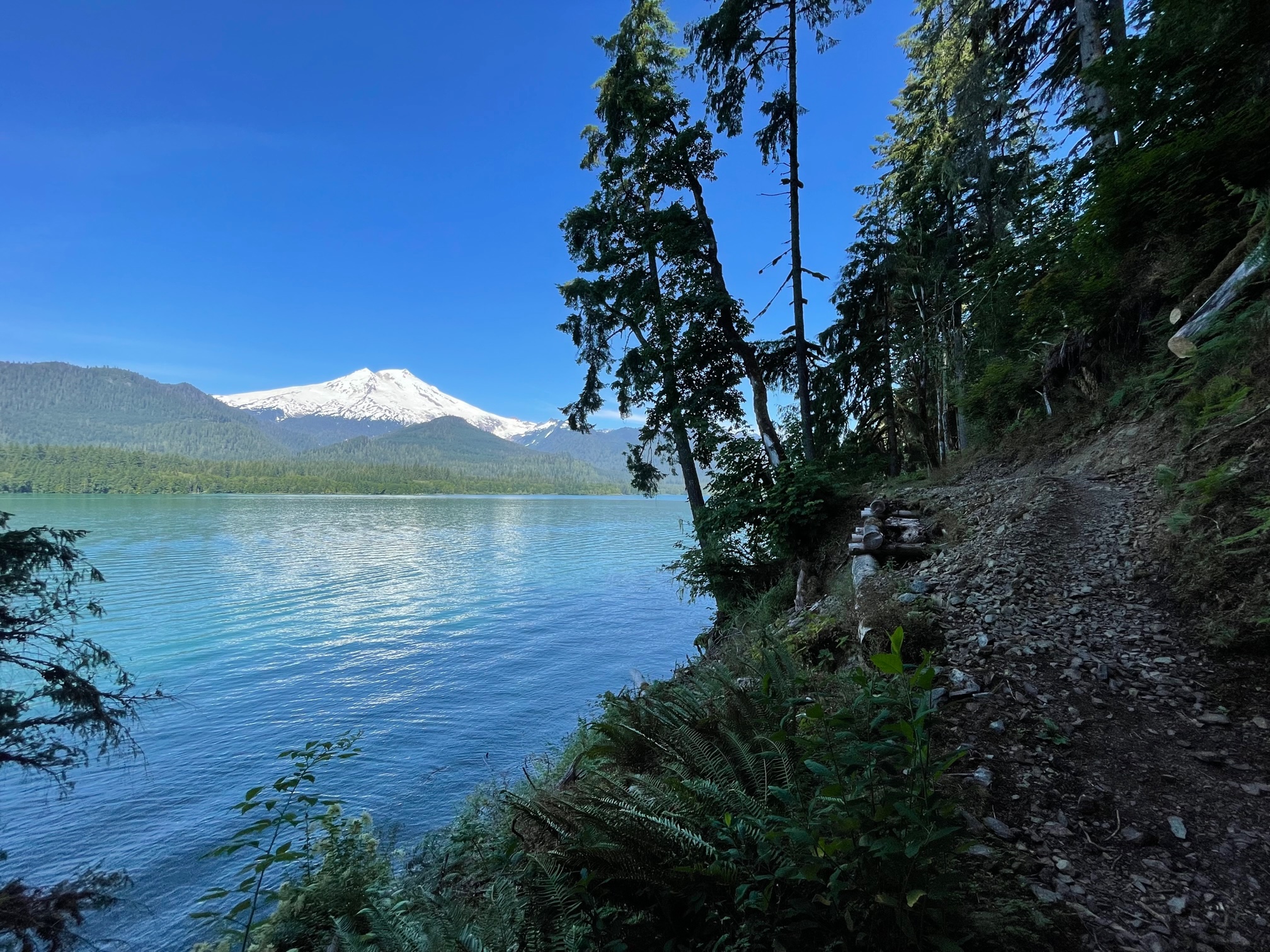 East Bank Baker Lake, Baker Lake Maple Grove — Washington Trails