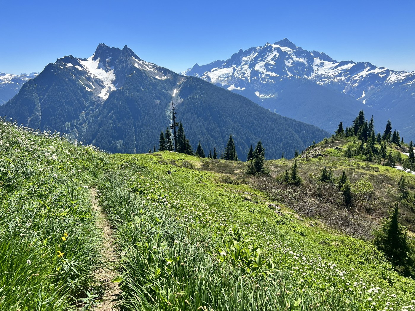 Goat Mountain by gster