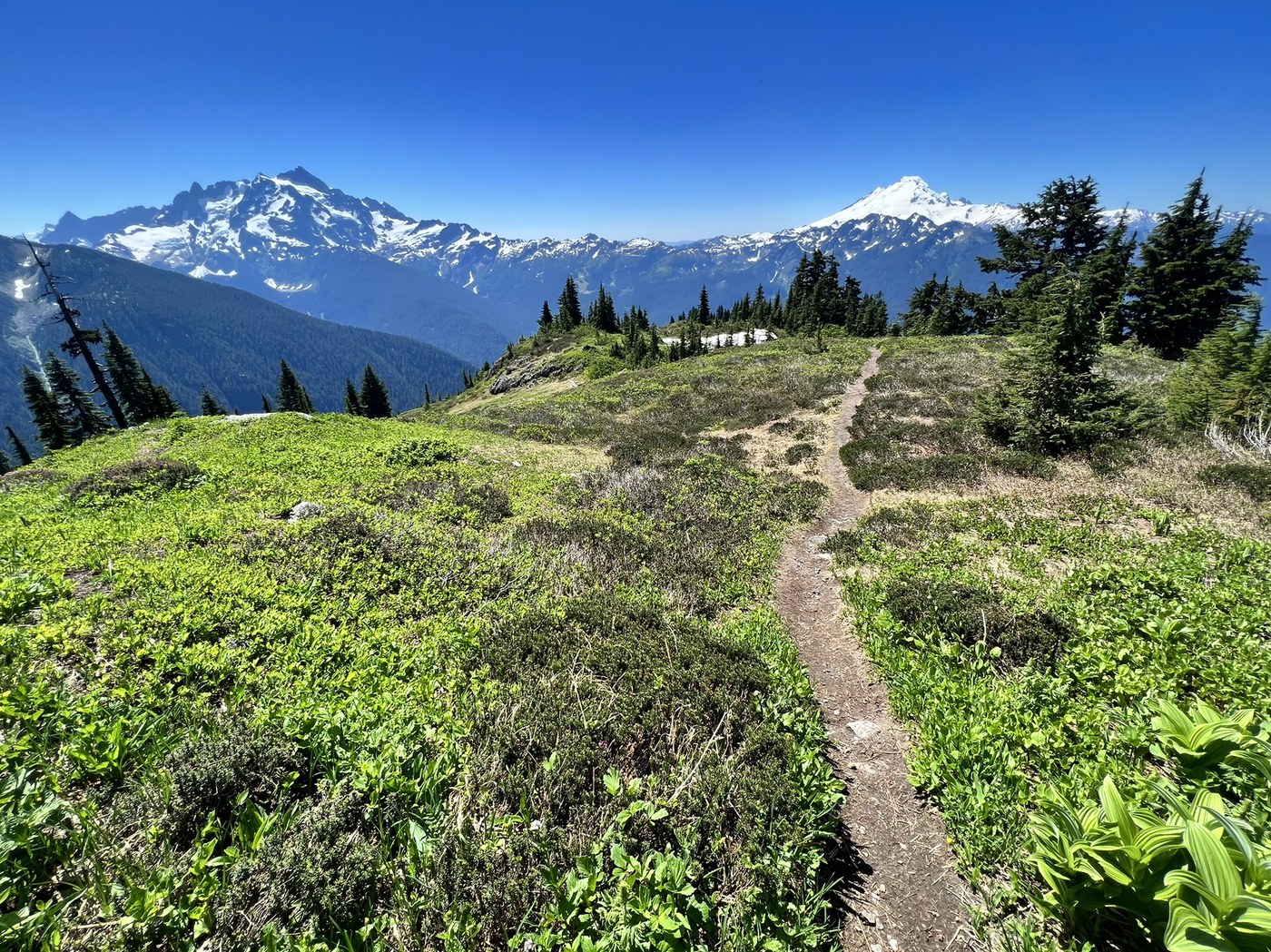 Goat Mountain by gster