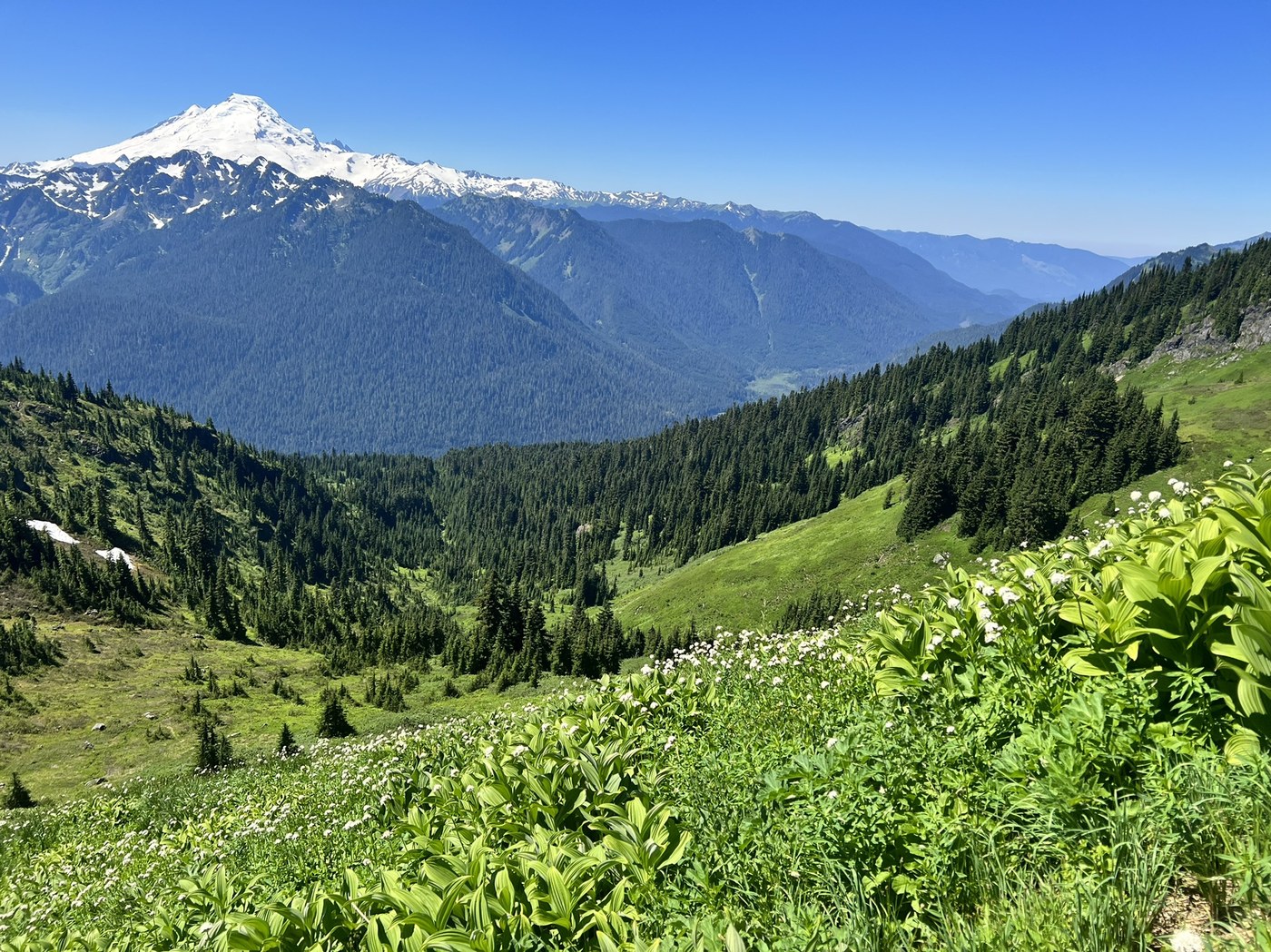 Goat Mountain by gster
