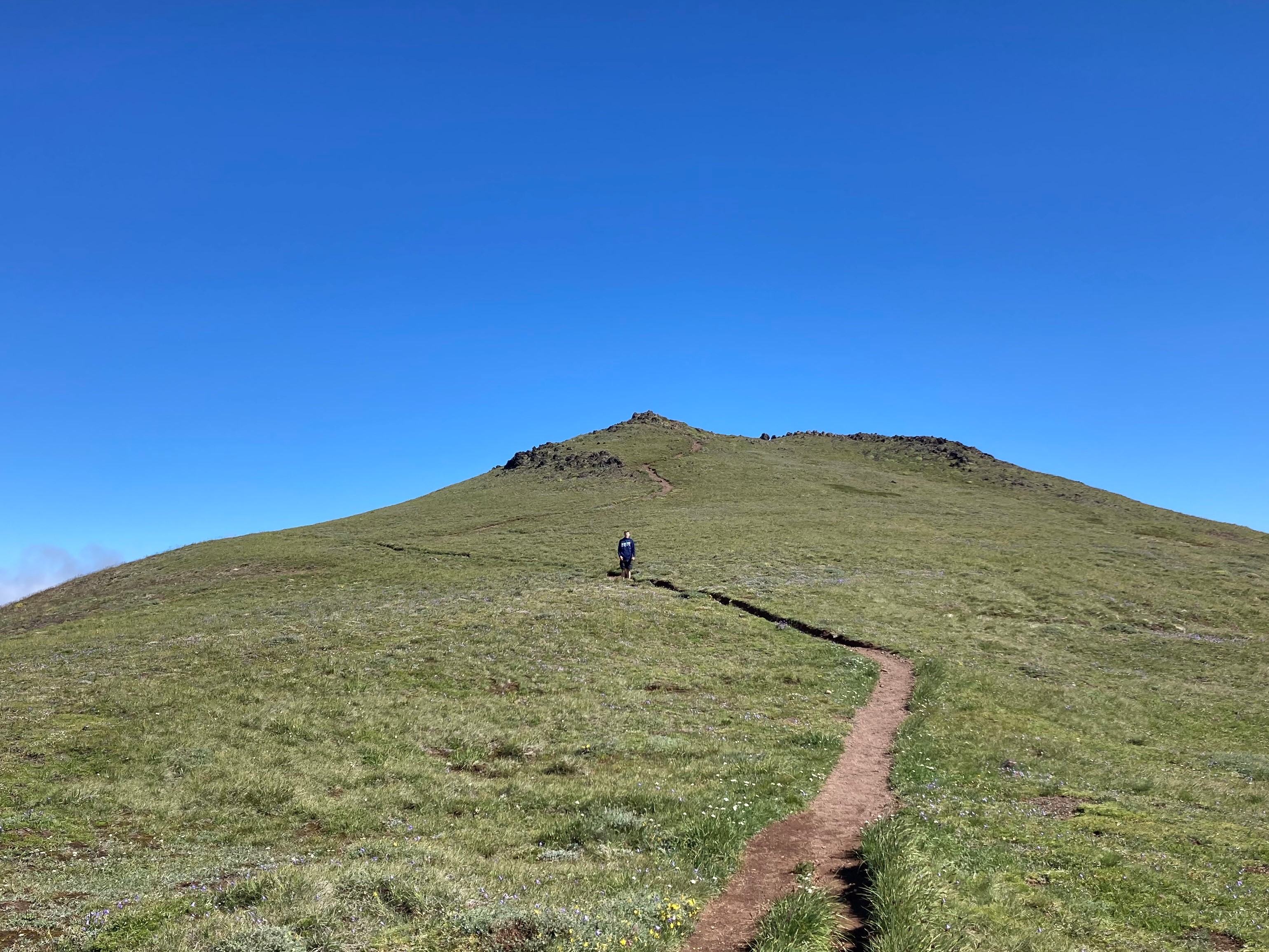 Mount Townsend — Washington Trails Association