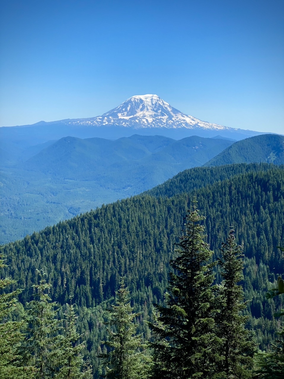 Juniper Ridge — Washington Trails Association