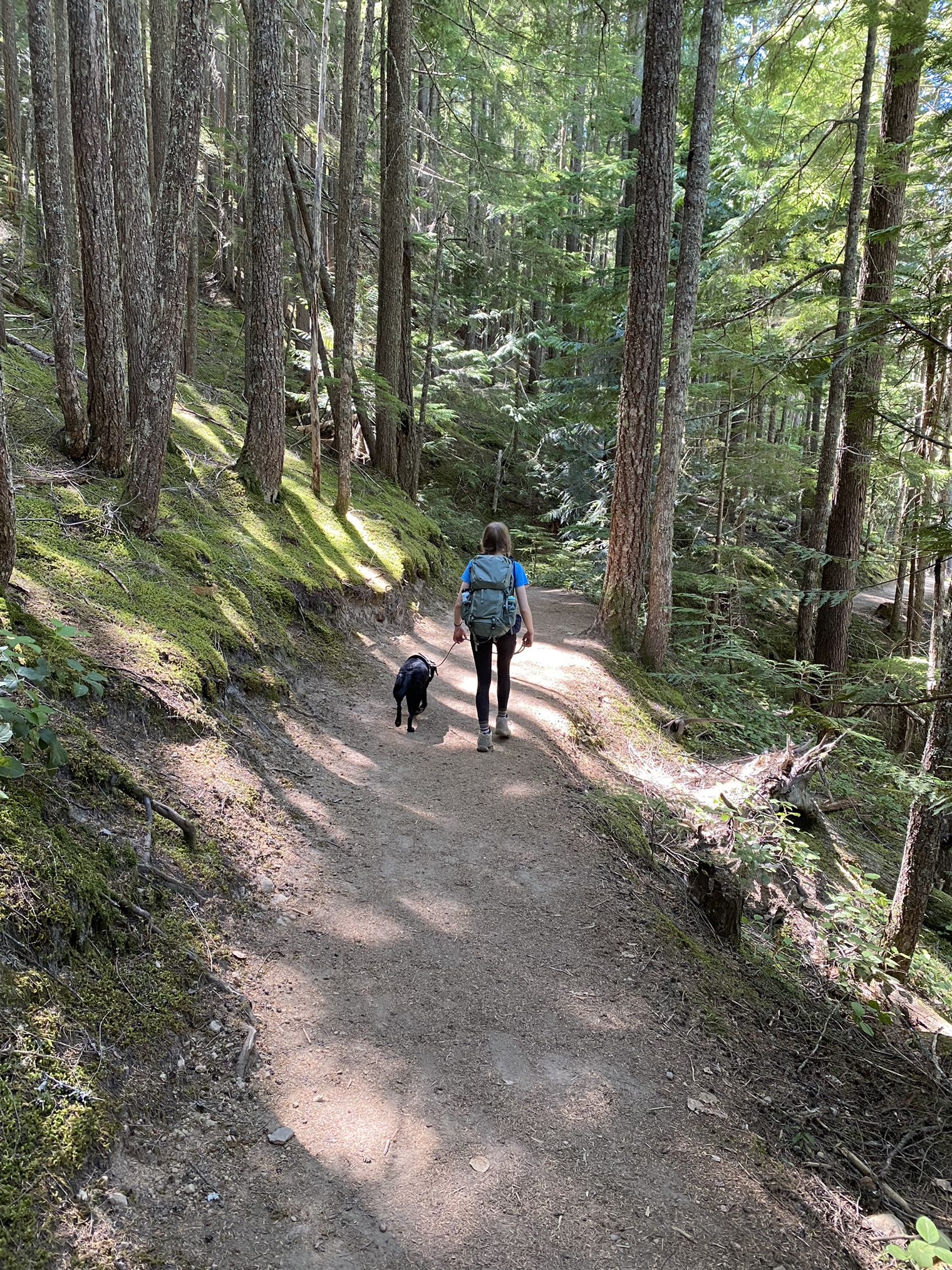 Packwood Lake — Washington Trails Association