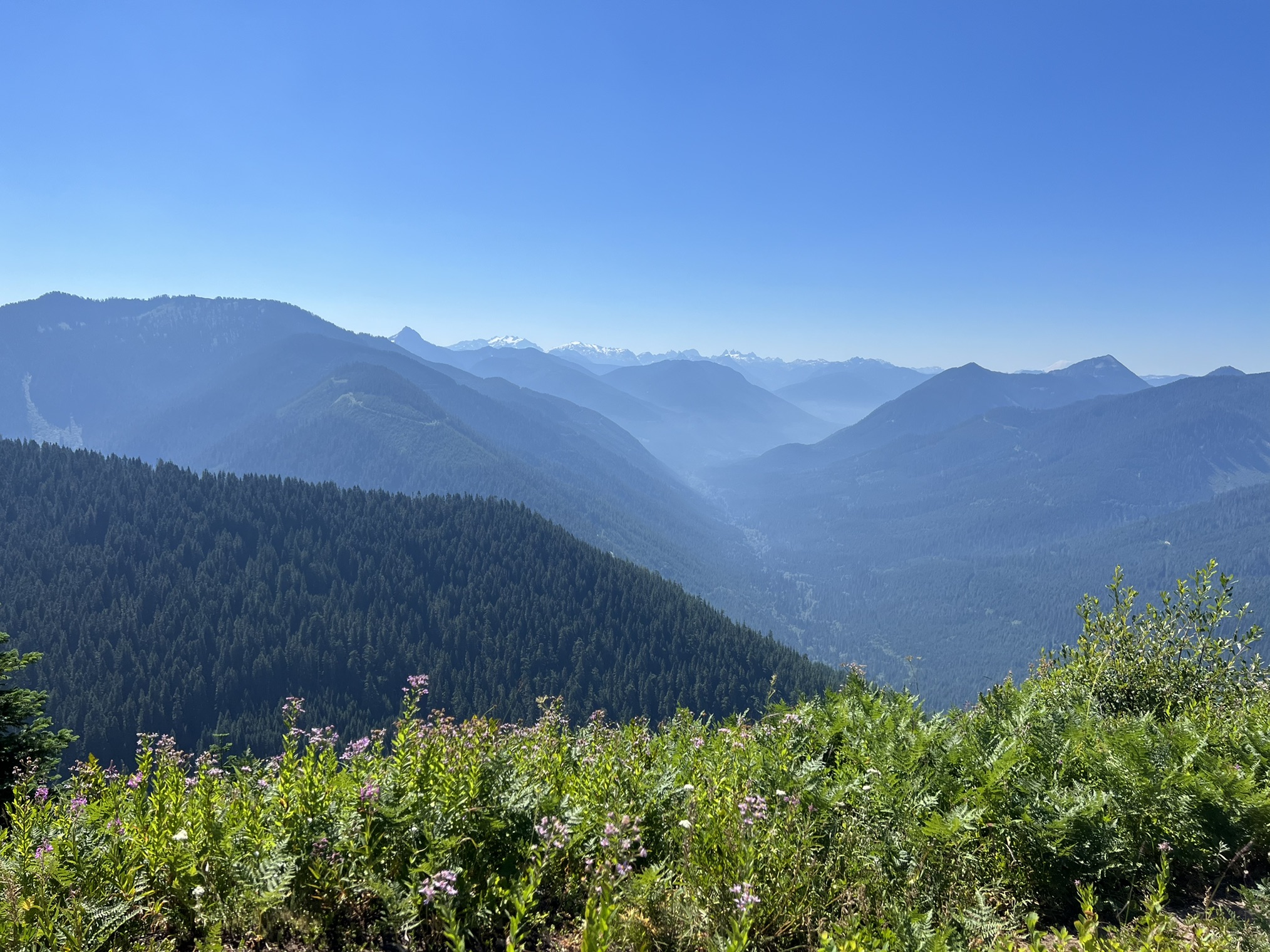 Frog Mountain — Washington Trails Association