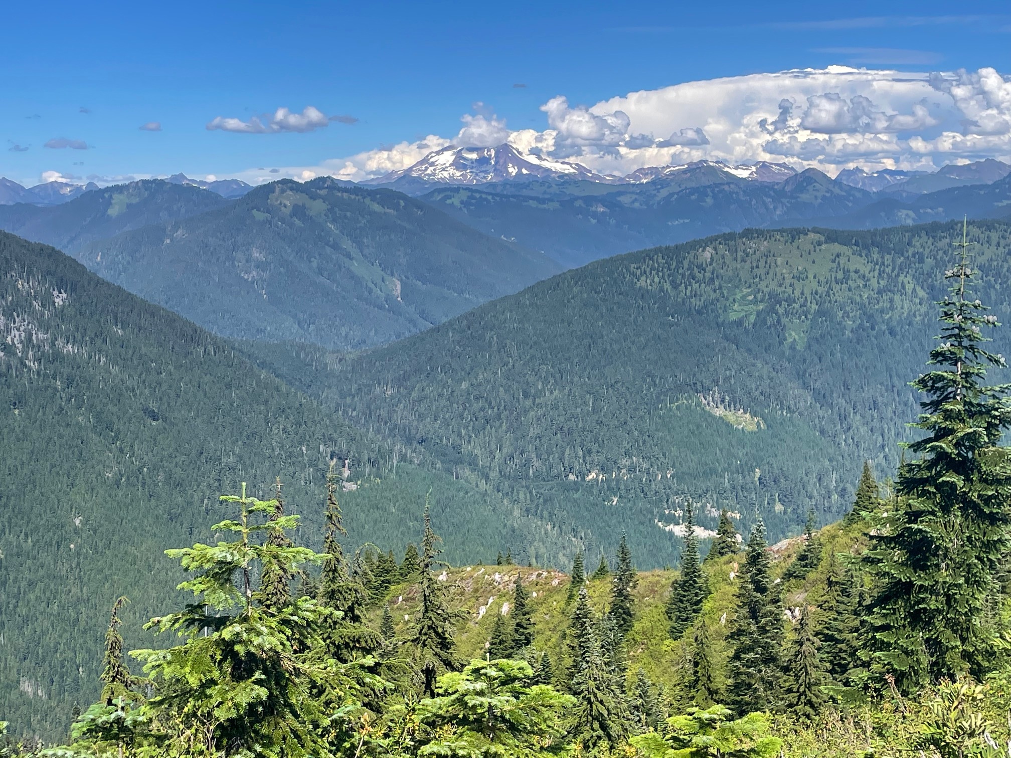 Frog Mountain — Washington Trails Association