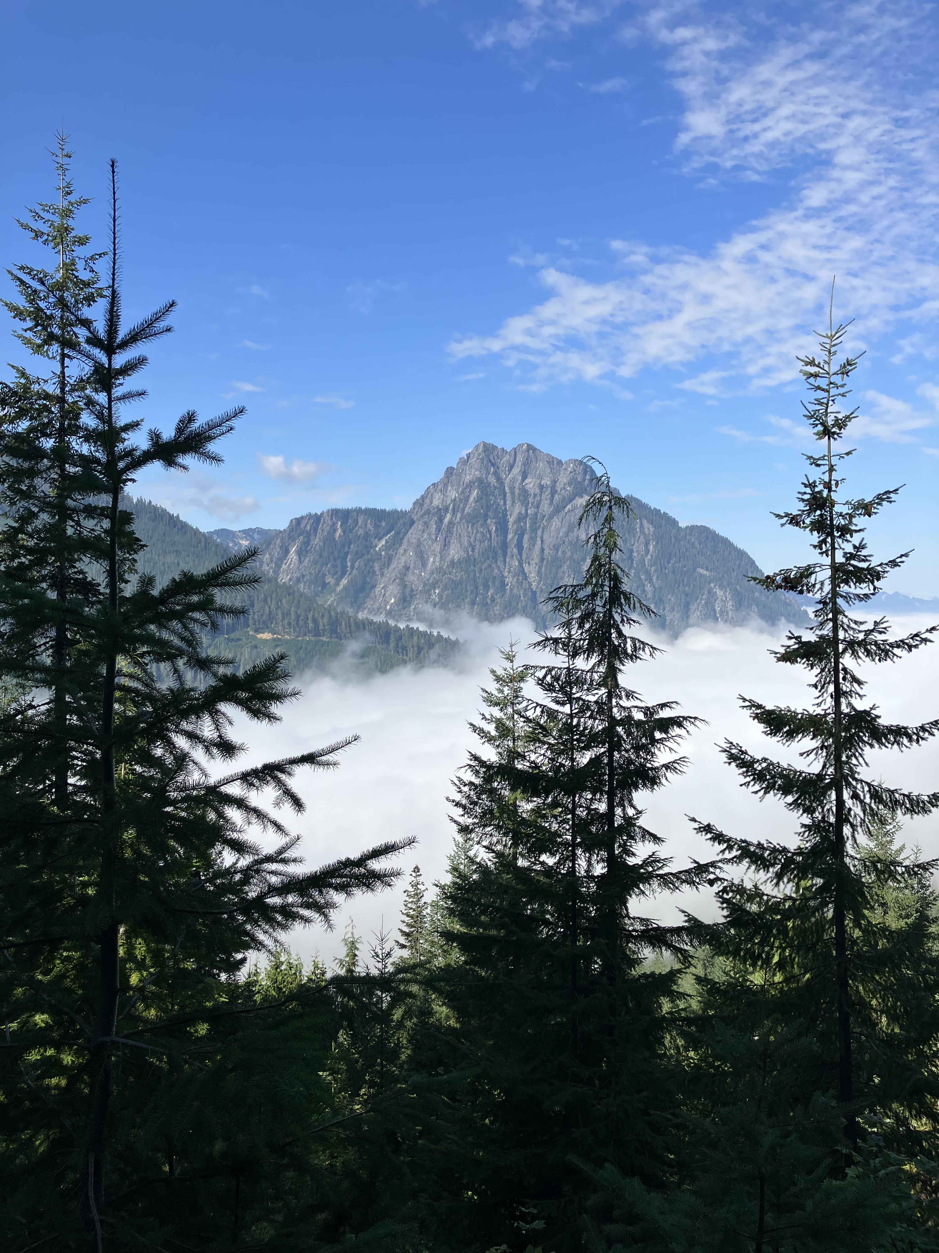 Frog Mountain — Washington Trails Association