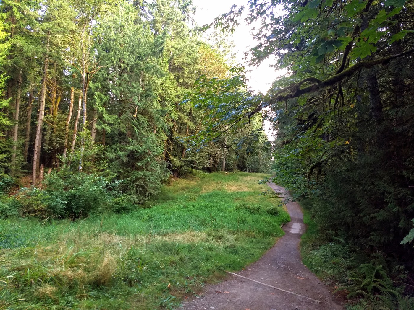 Some of the trails are more open