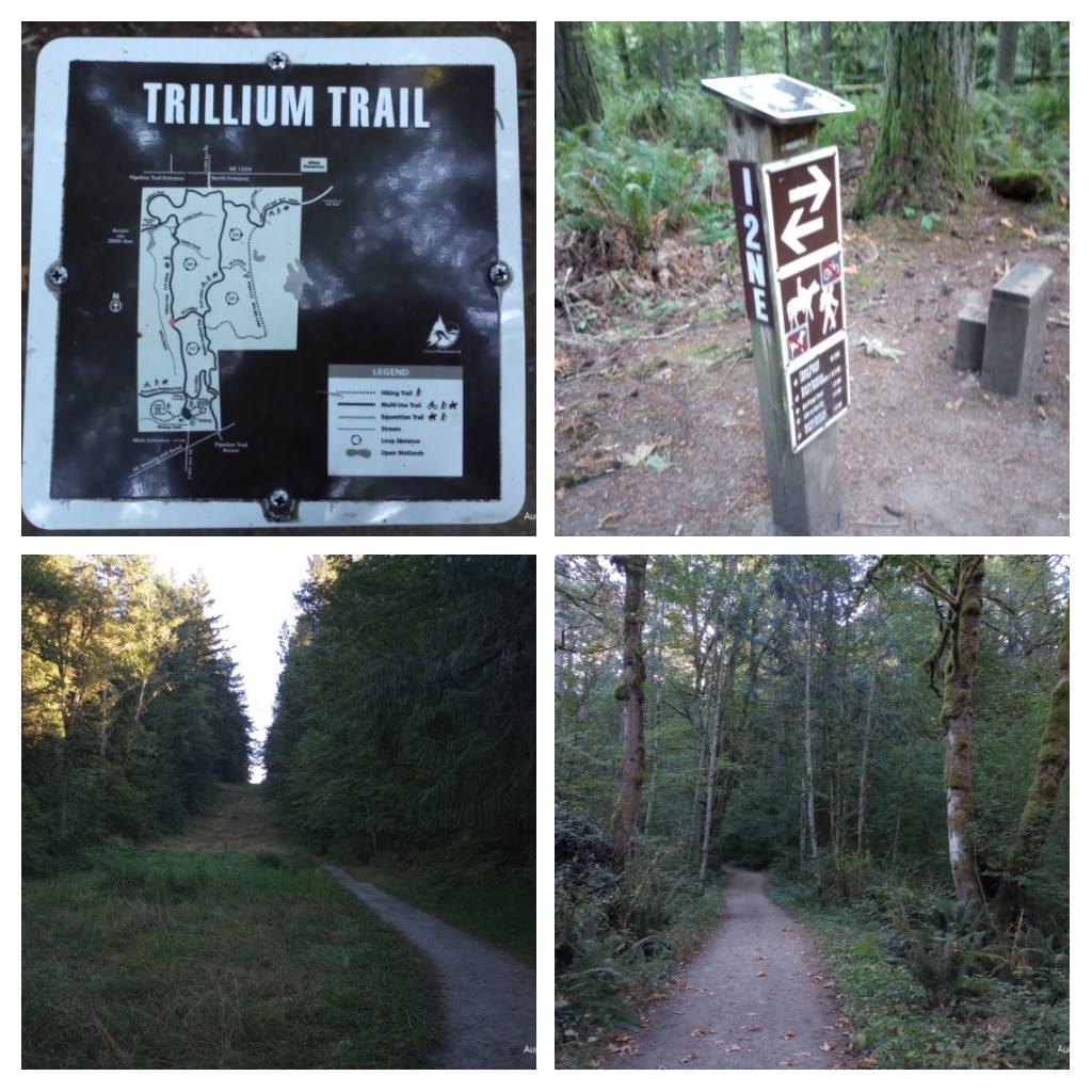 views and the Trails