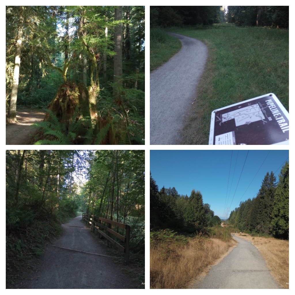 views and the Trails
