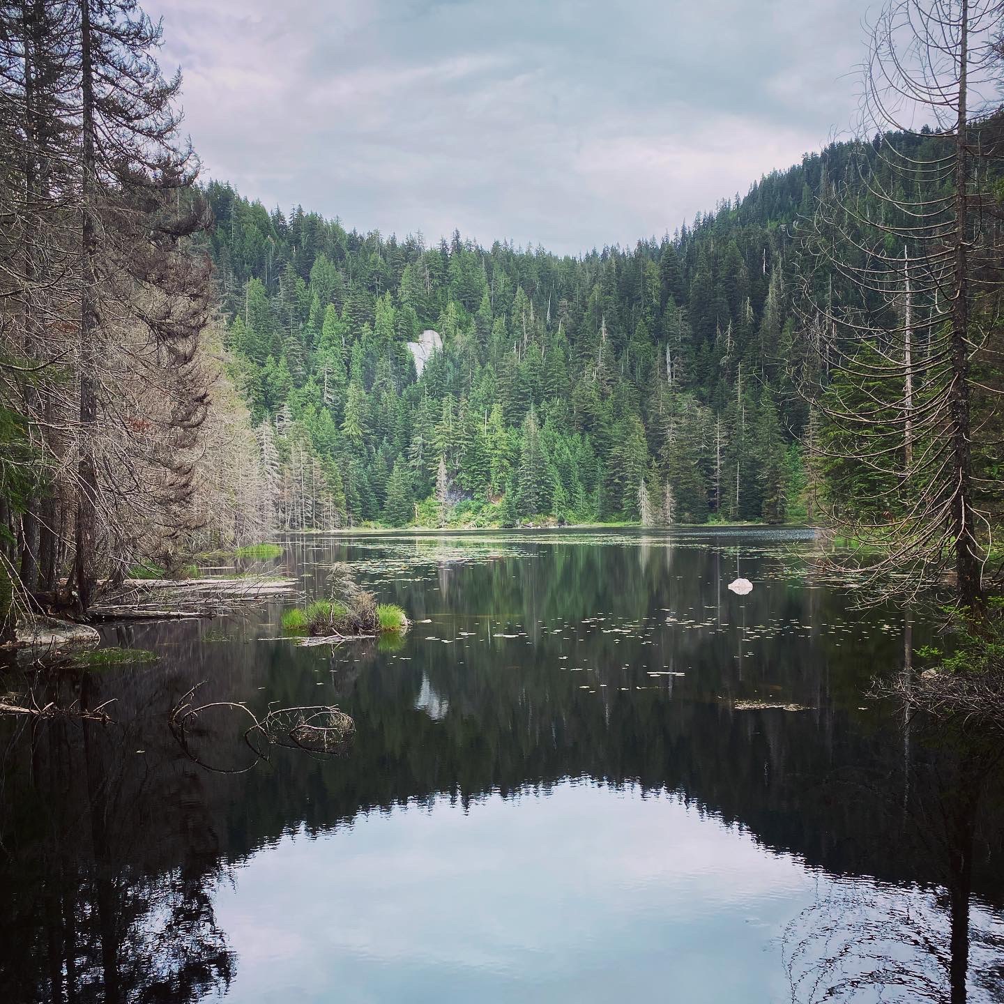 Ashland Lakes — Washington Trails Association