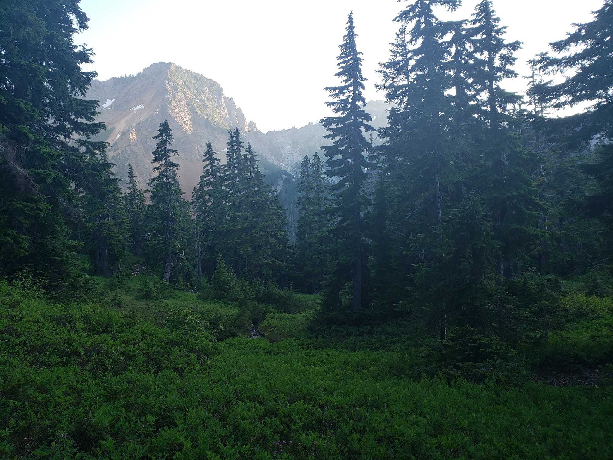 Mineral Creek, Pacific Crest Trail (PCT) Section J Snoqualmie Pass to