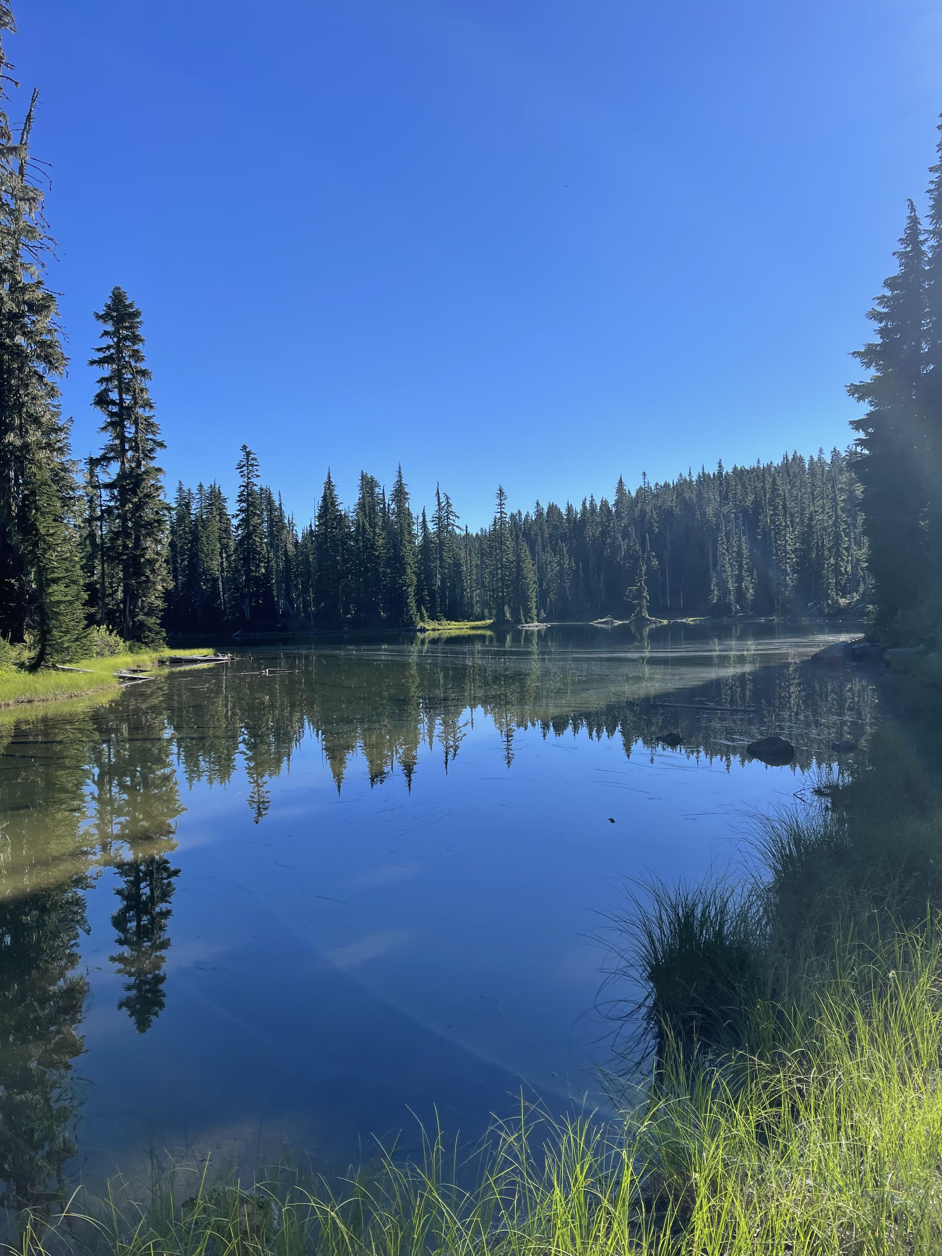 White Pass to Chinook Pass — Washington Trails Association