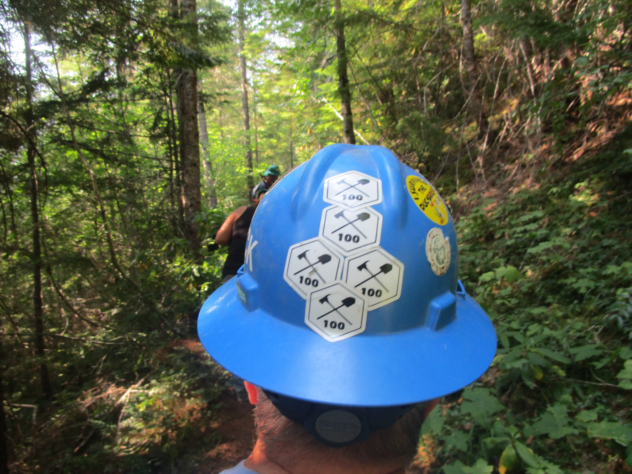 Mount Townsend — Washington Trails Association