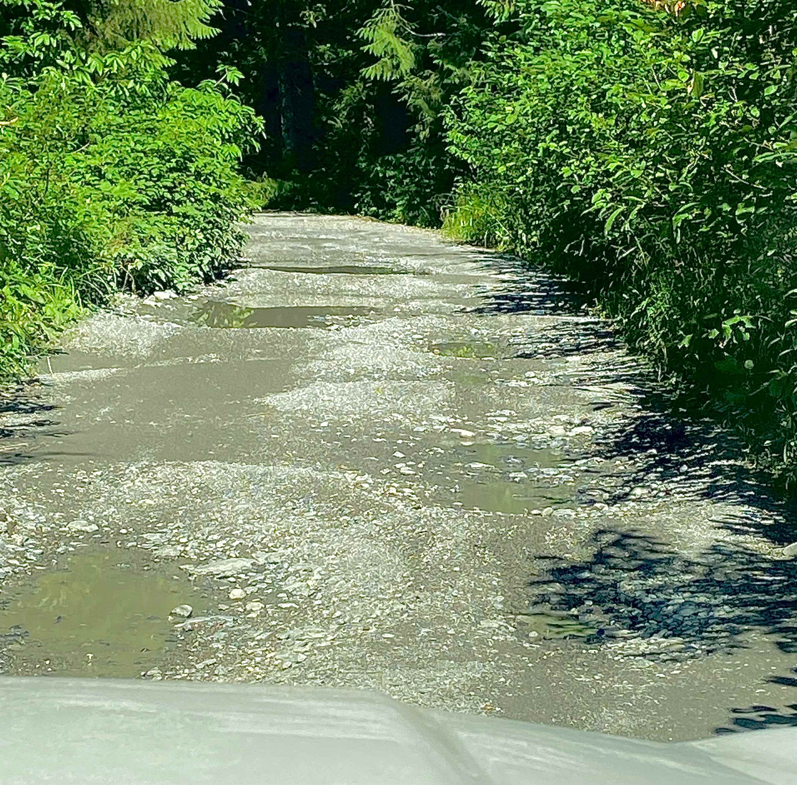 Ashland Lakes — Washington Trails Association