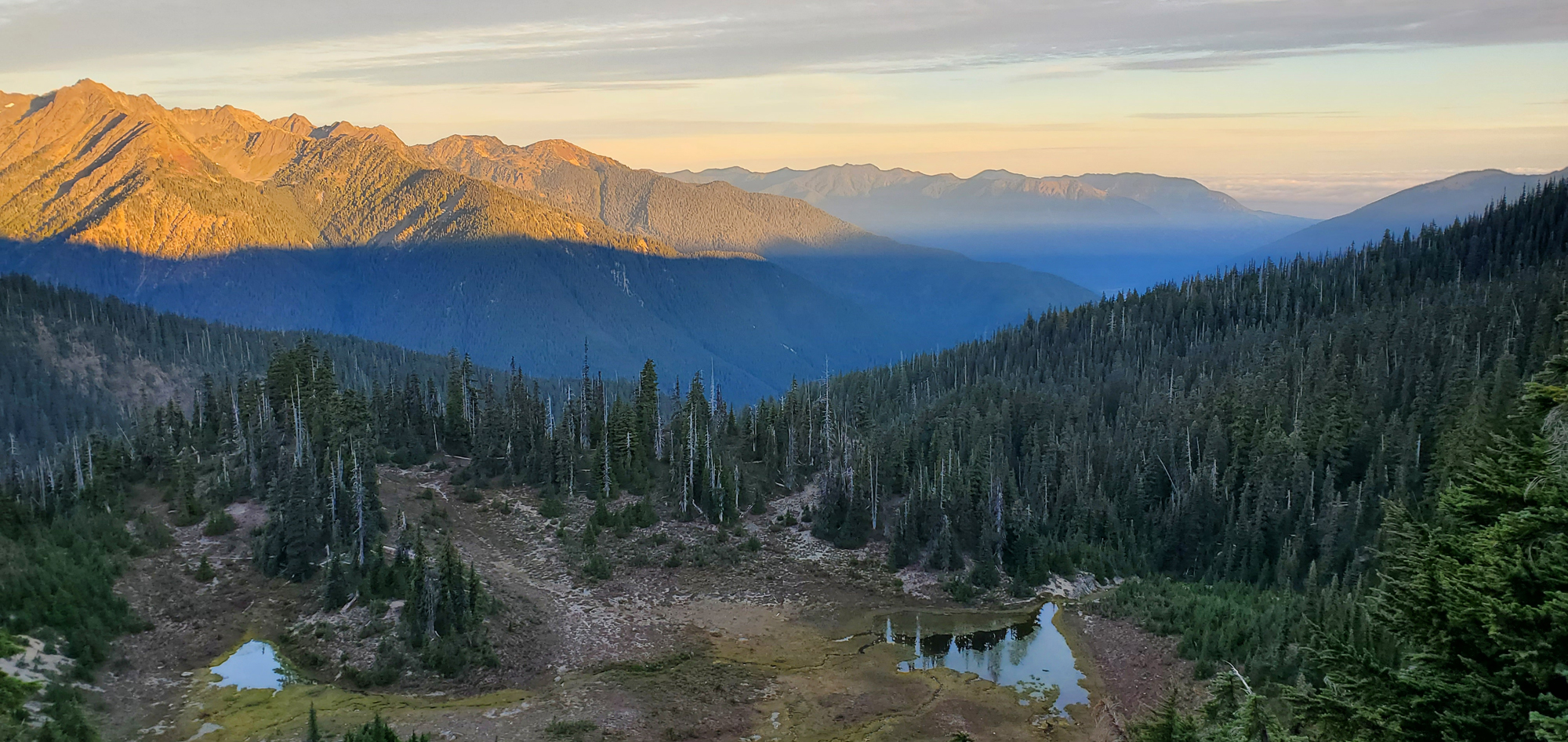 Elwha River and Geyser Valley, Dodger Point, Rica Canyon Trail, Goblin