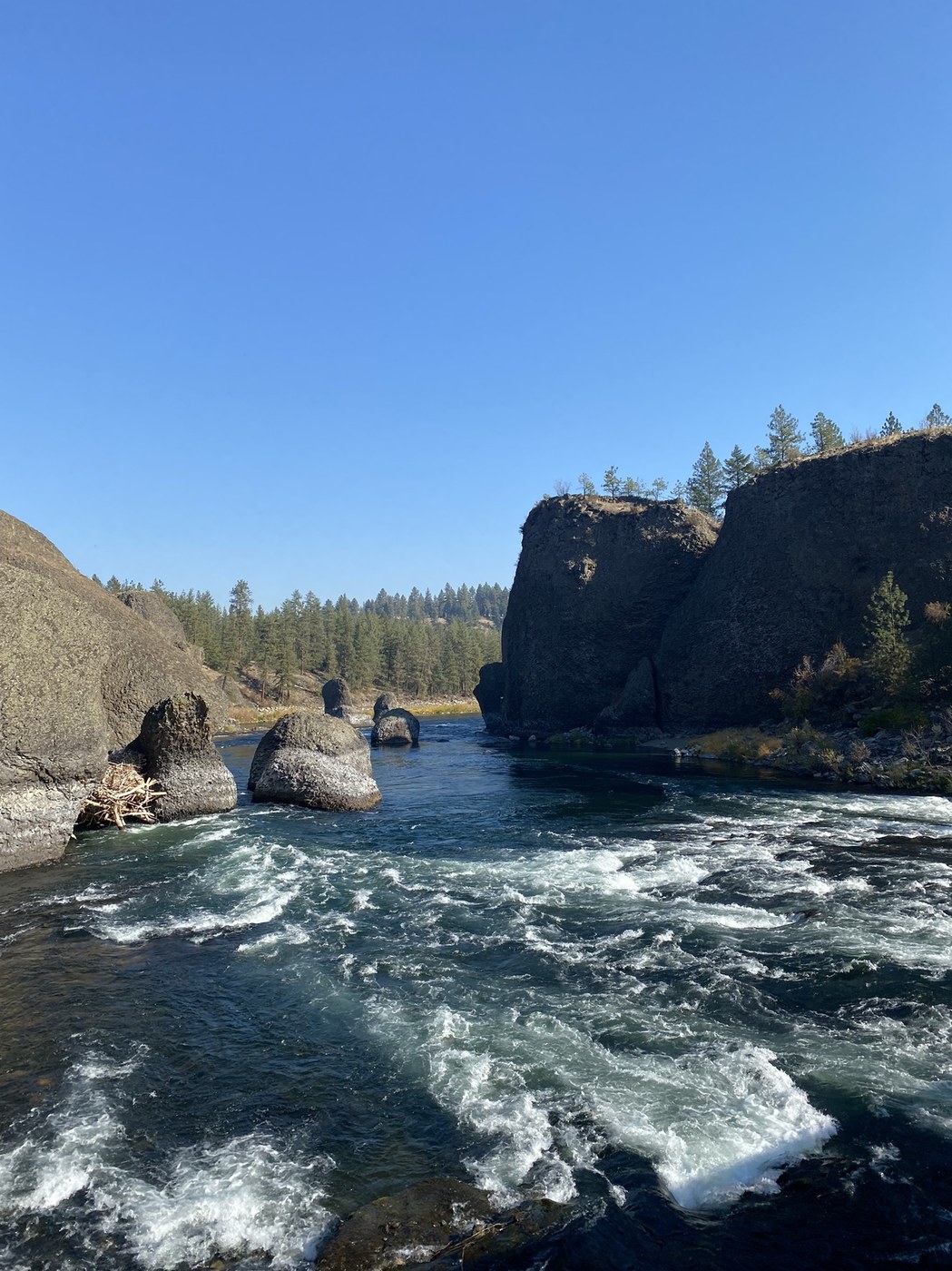 Riverside State Park - Bowl & Pitcher by cailyn