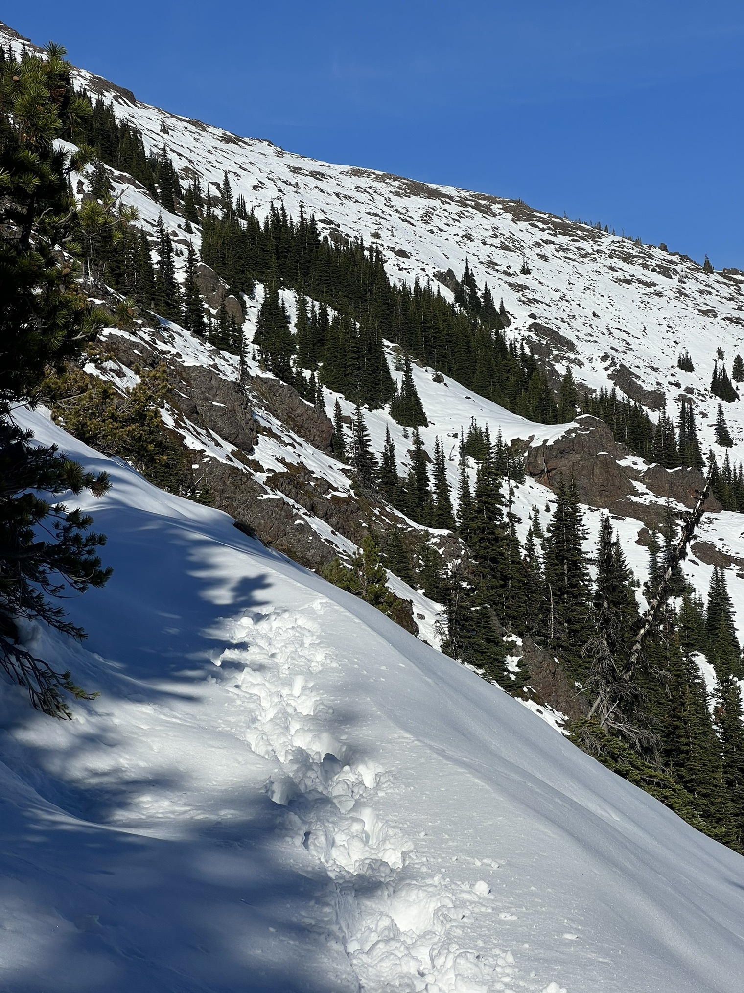 Mount Townsend — Washington Trails Association