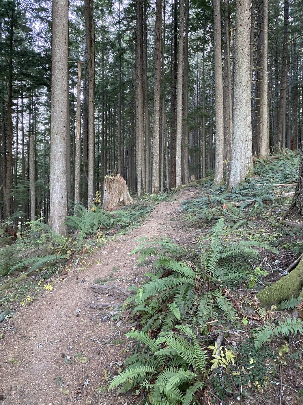 Rattlesnake Mountain - Grand Prospect by Fiver