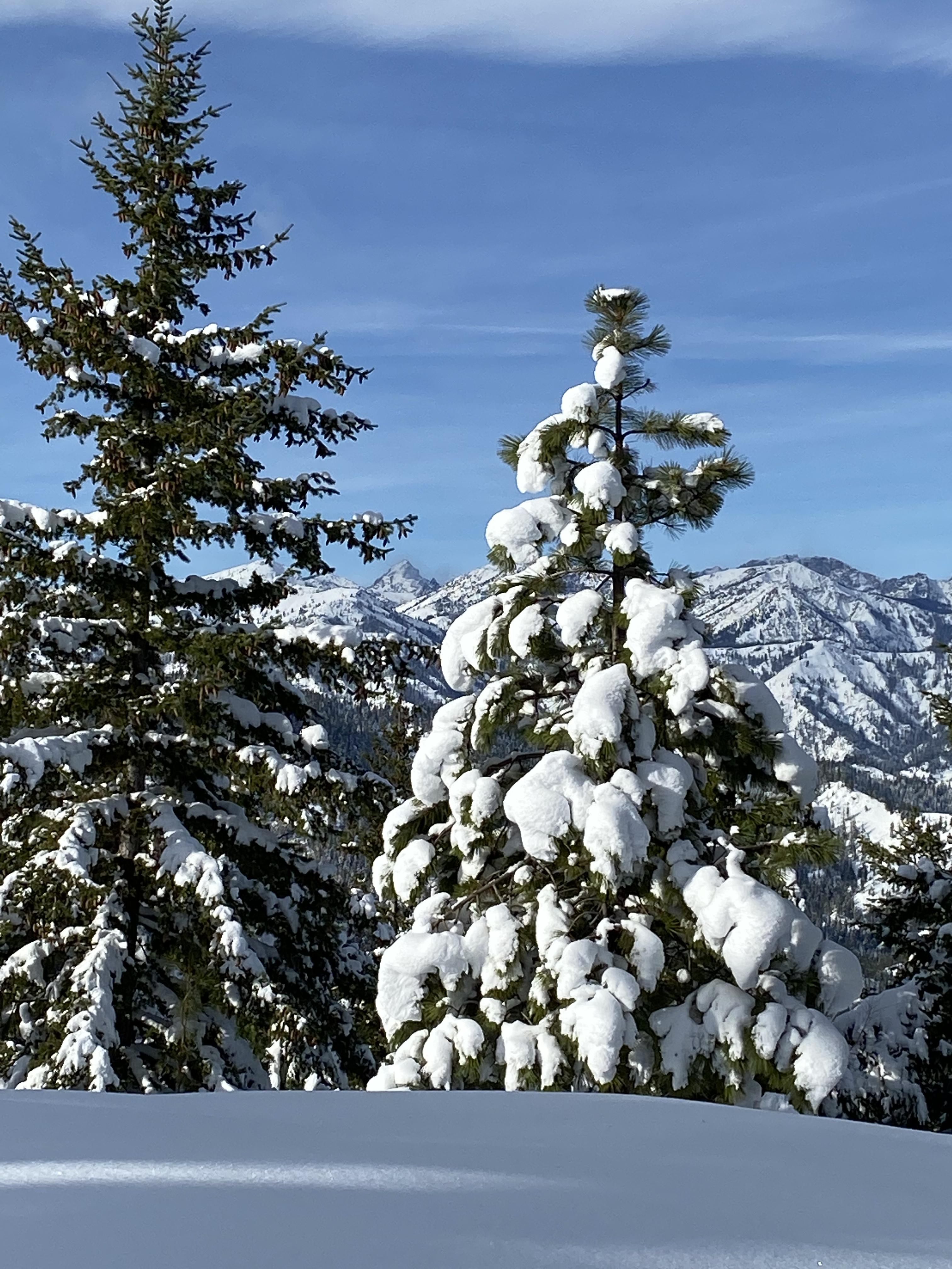 Wenatchee Crest Snowshoe (Blewett Pass) — Washington Trails Association