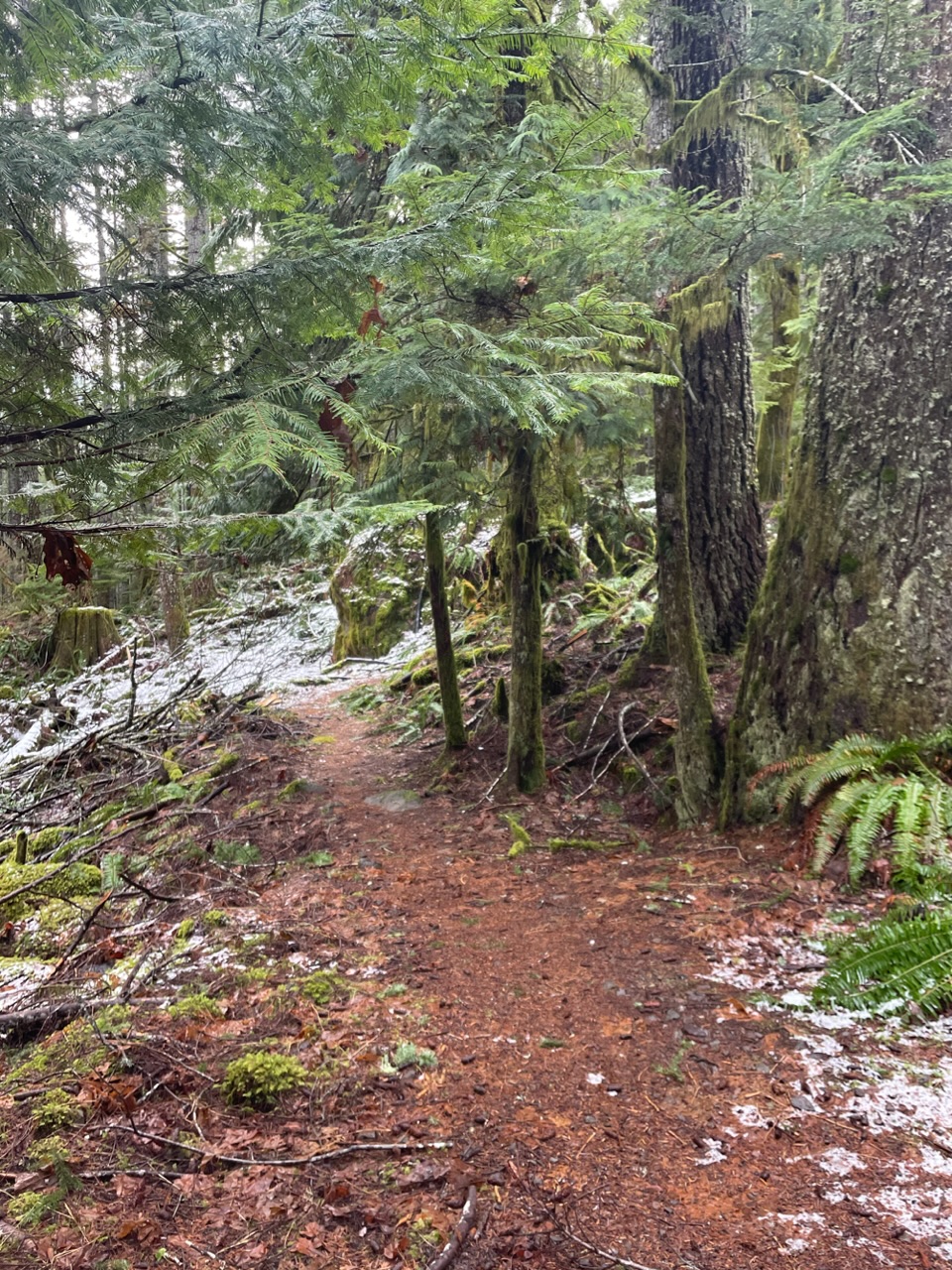 Copper Creek — Washington Trails Association