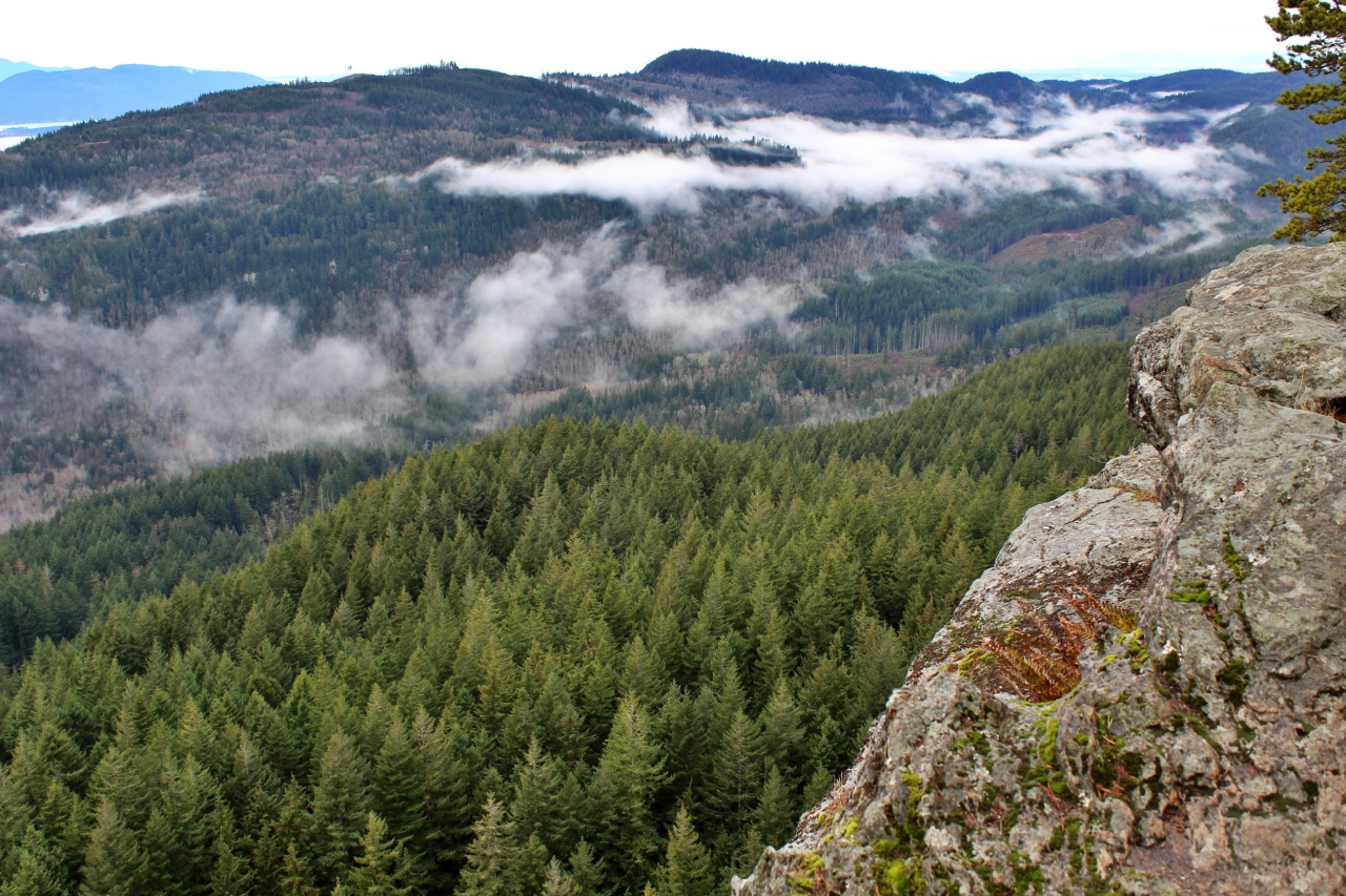 Oyster Dome, Lily Lake Loop — Washington Trails Association