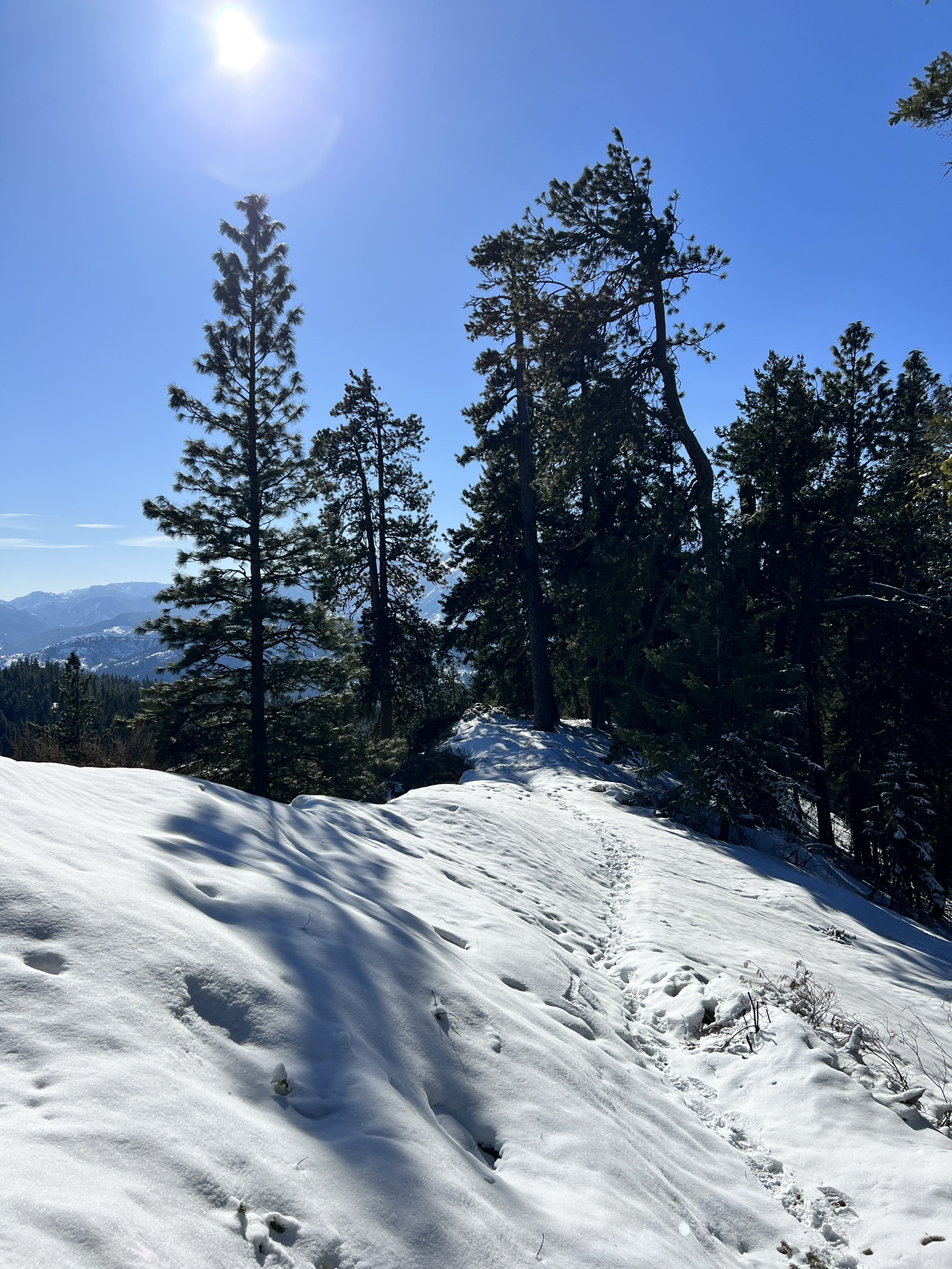 Sauer's Mountain — Washington Trails Association